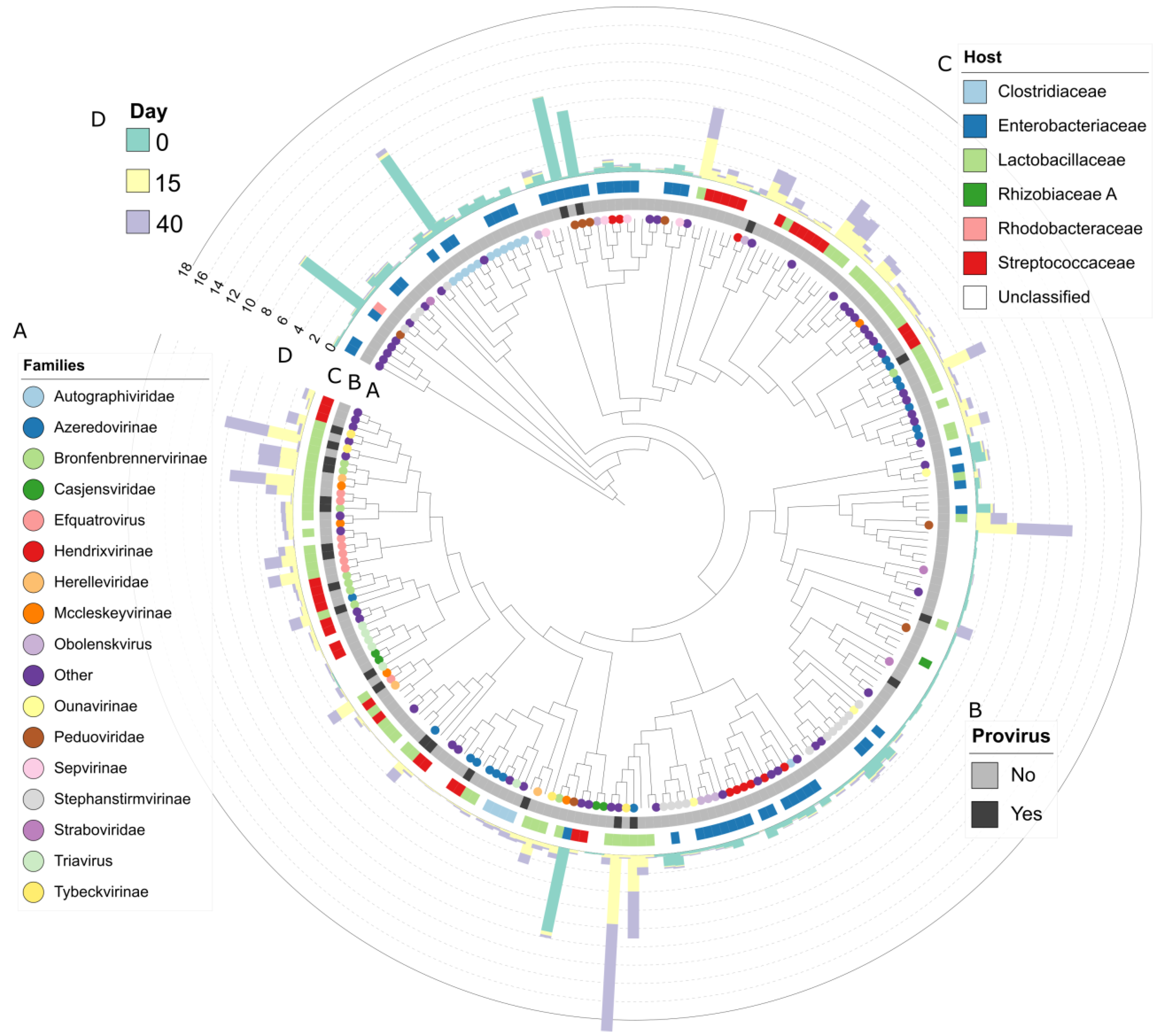 Viruses 15 00951 g006