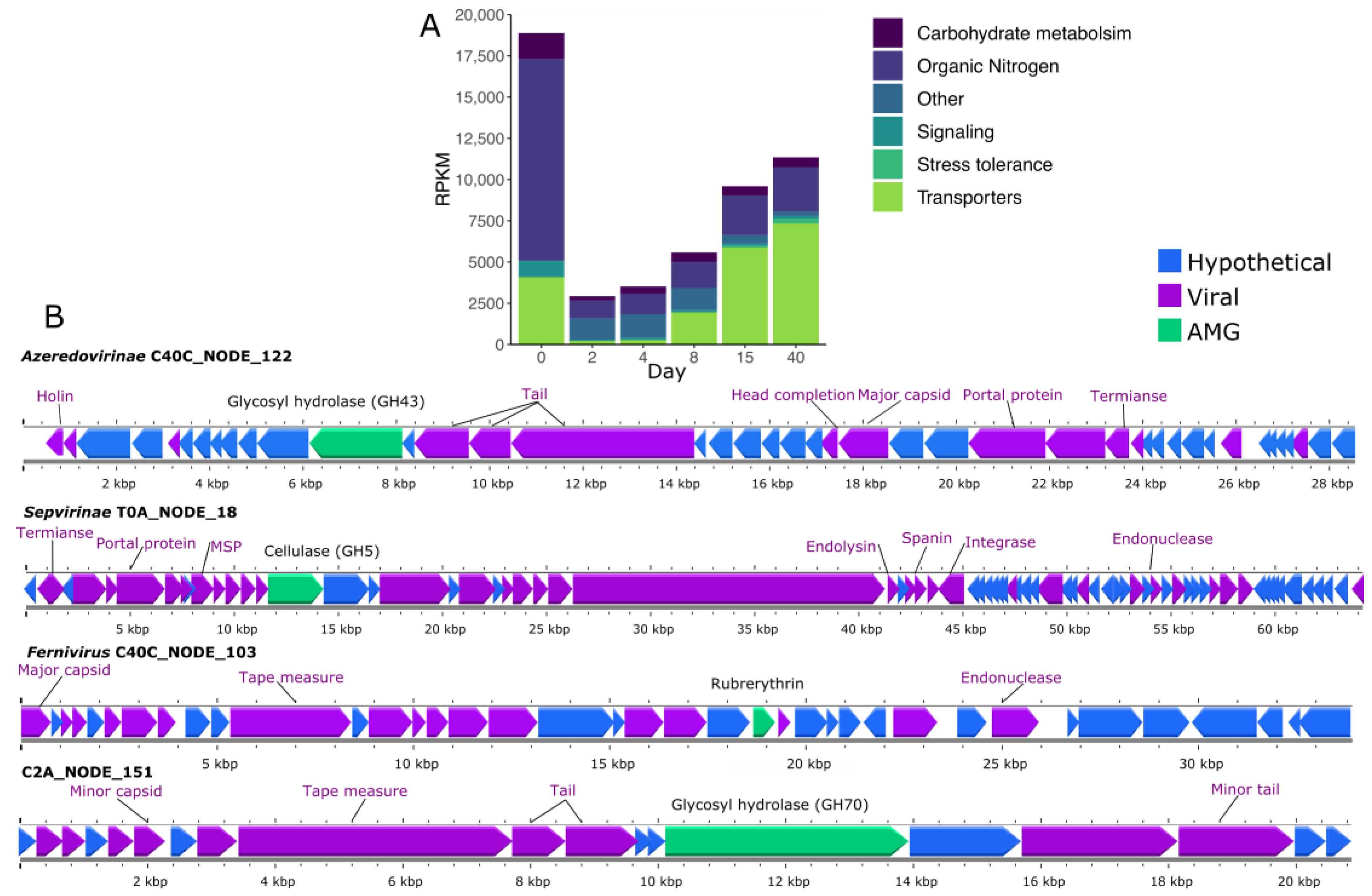 Viruses 15 00951 g007
