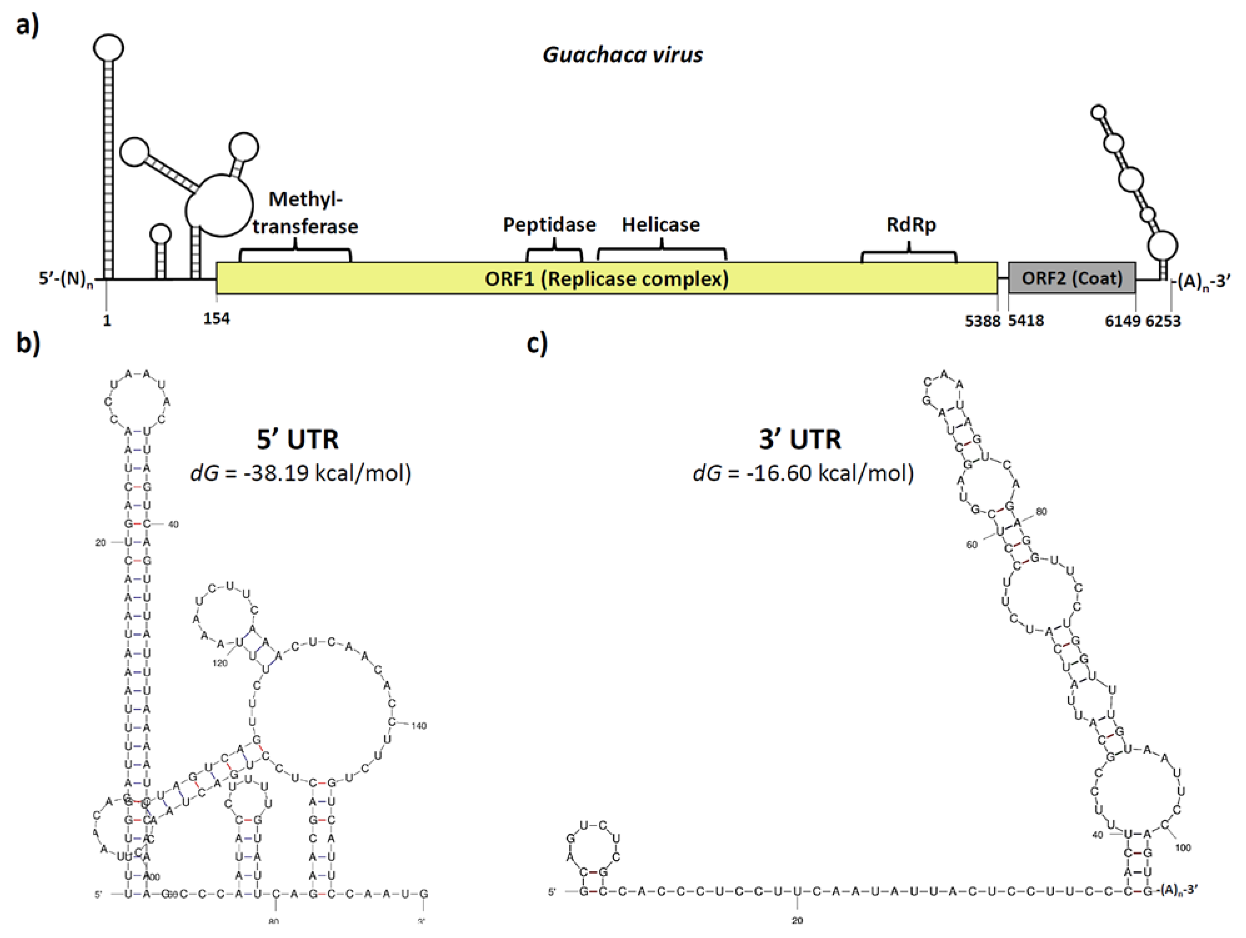 Viruses 15 00953 g002 Viruses 15 00953 g002
