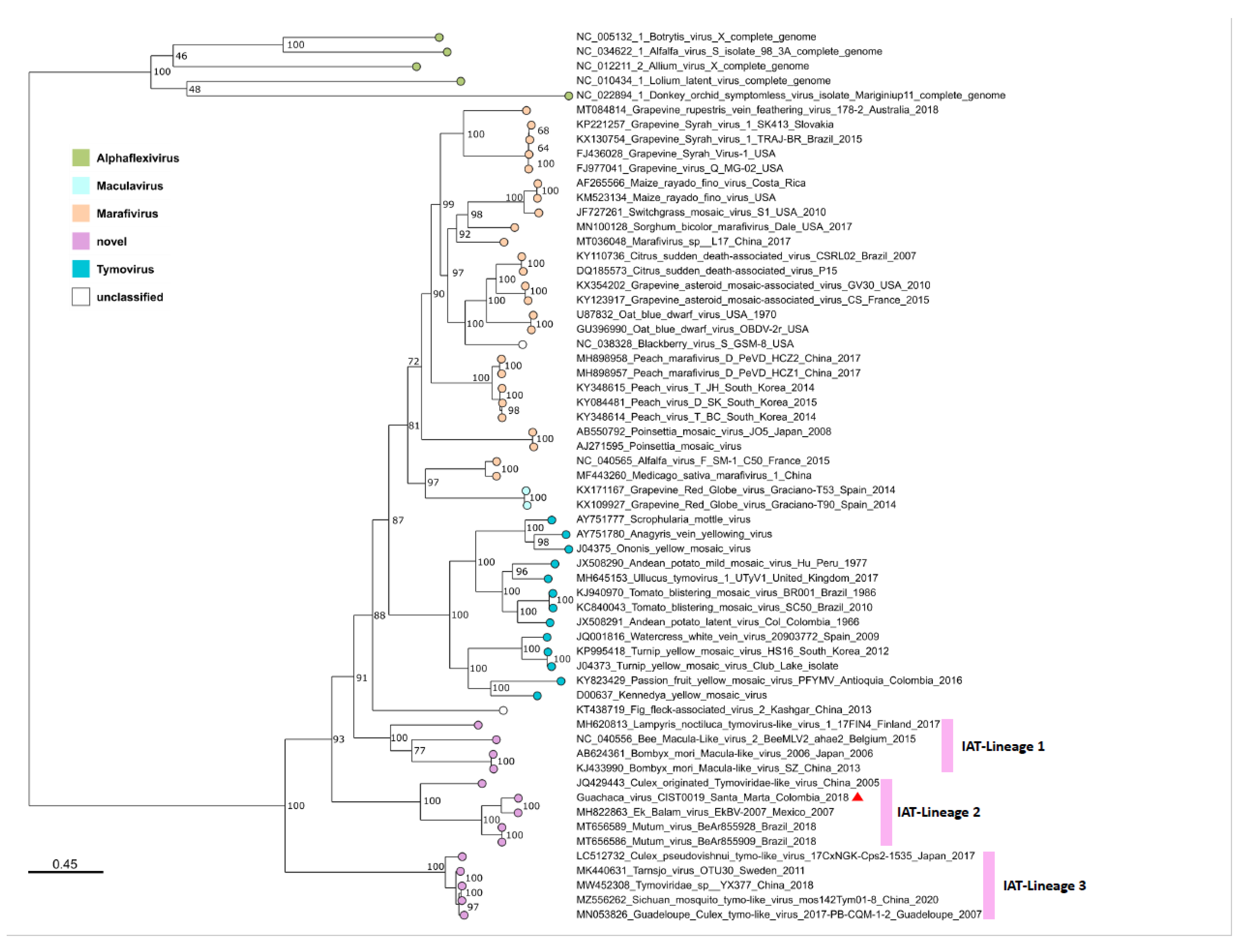 Viruses 15 00953 g003 Viruses 15 00953 g003