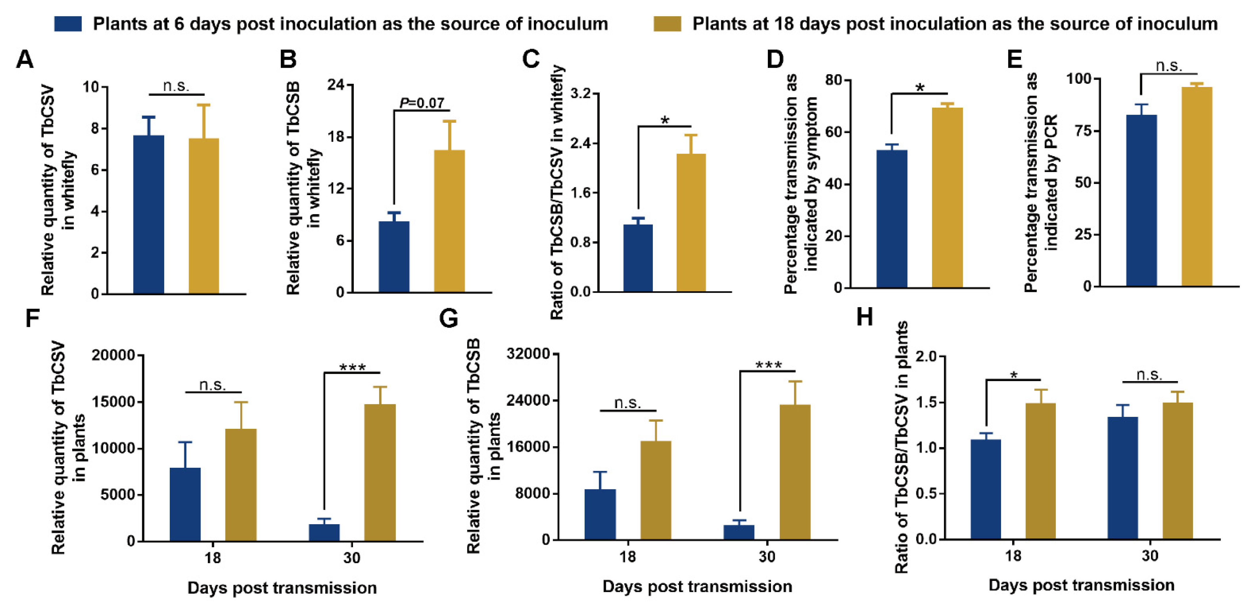 Viruses 15 00954 g005