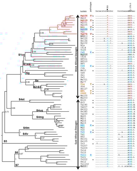 Viruses 15 00959 g001