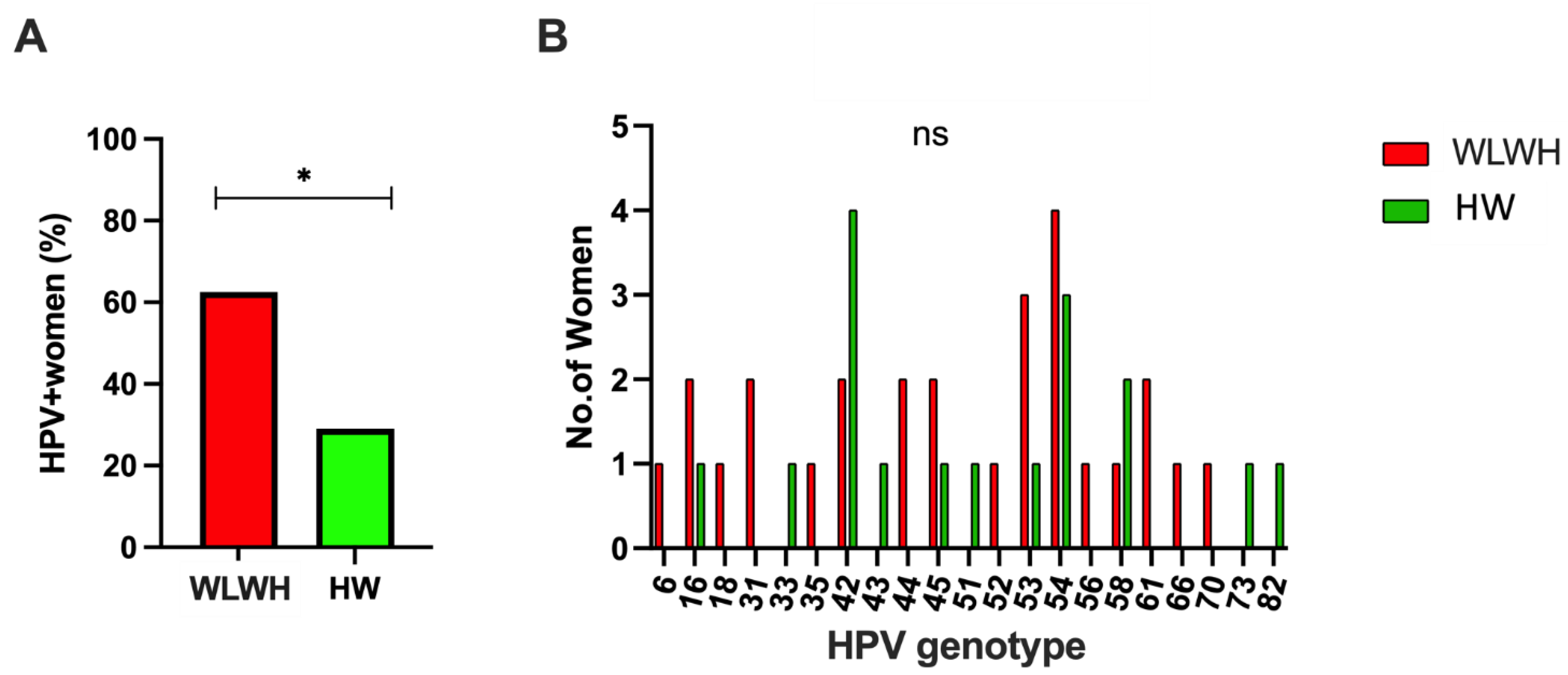 Viruses 15 00960 g003