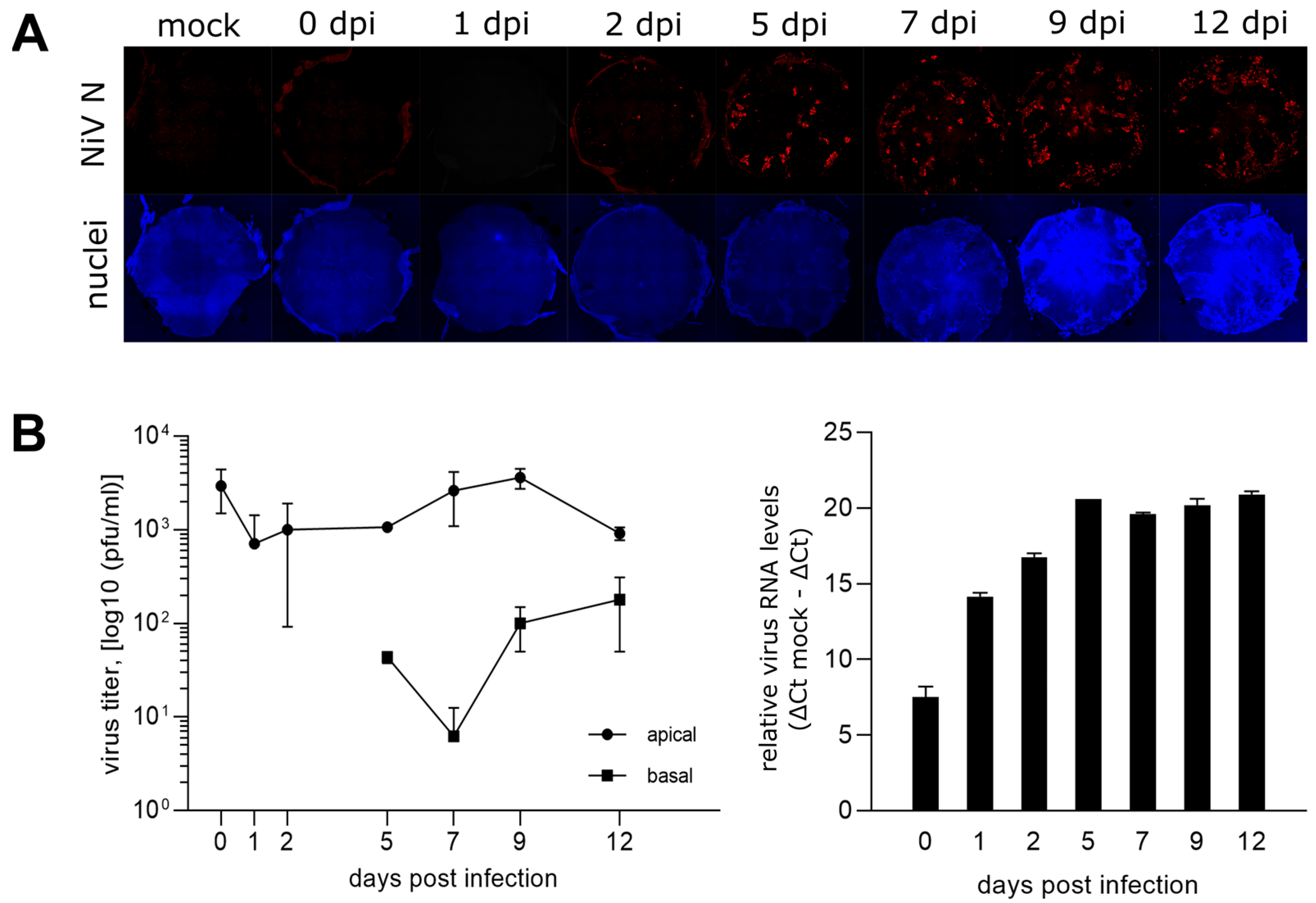 Viruses 15 00961 g002