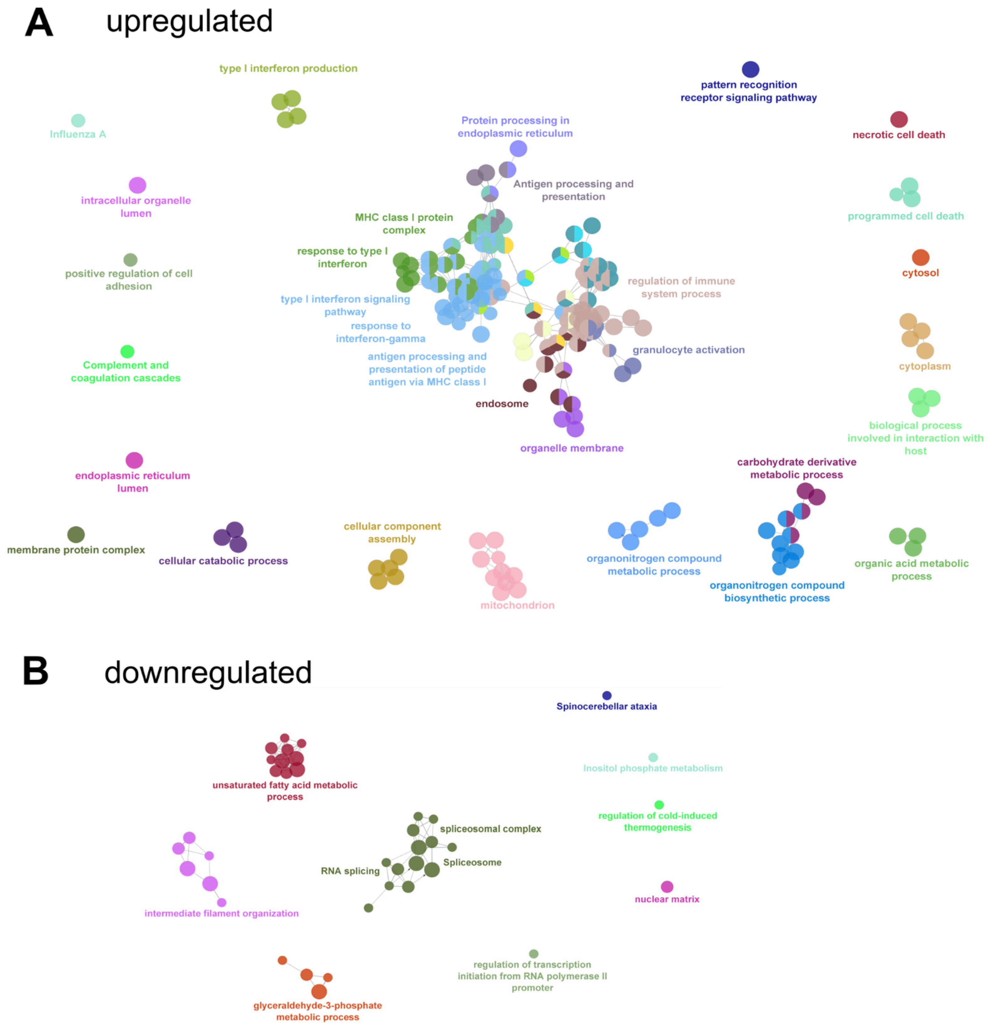 Viruses 15 00961 g008