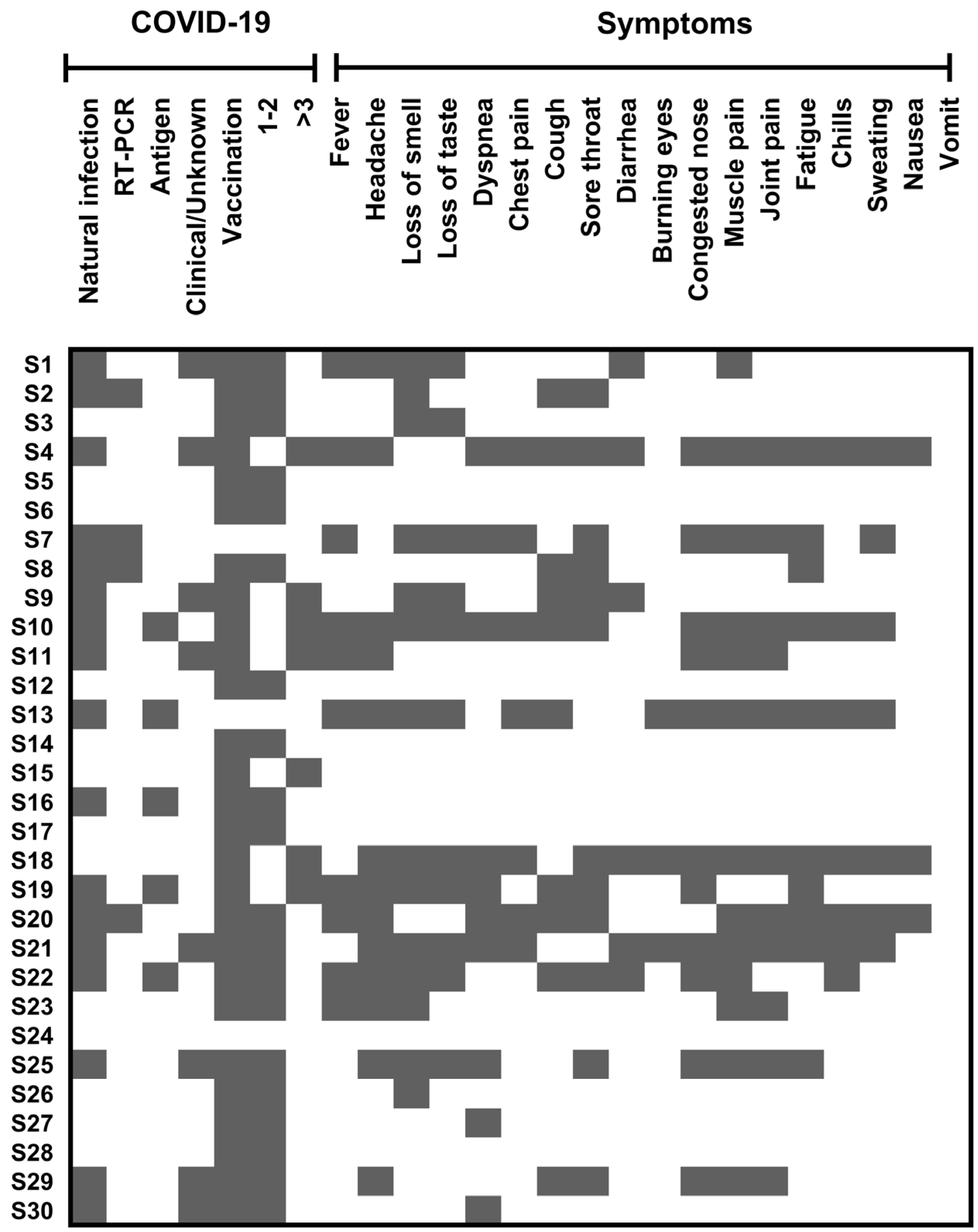 Viruses 15 00966 g001