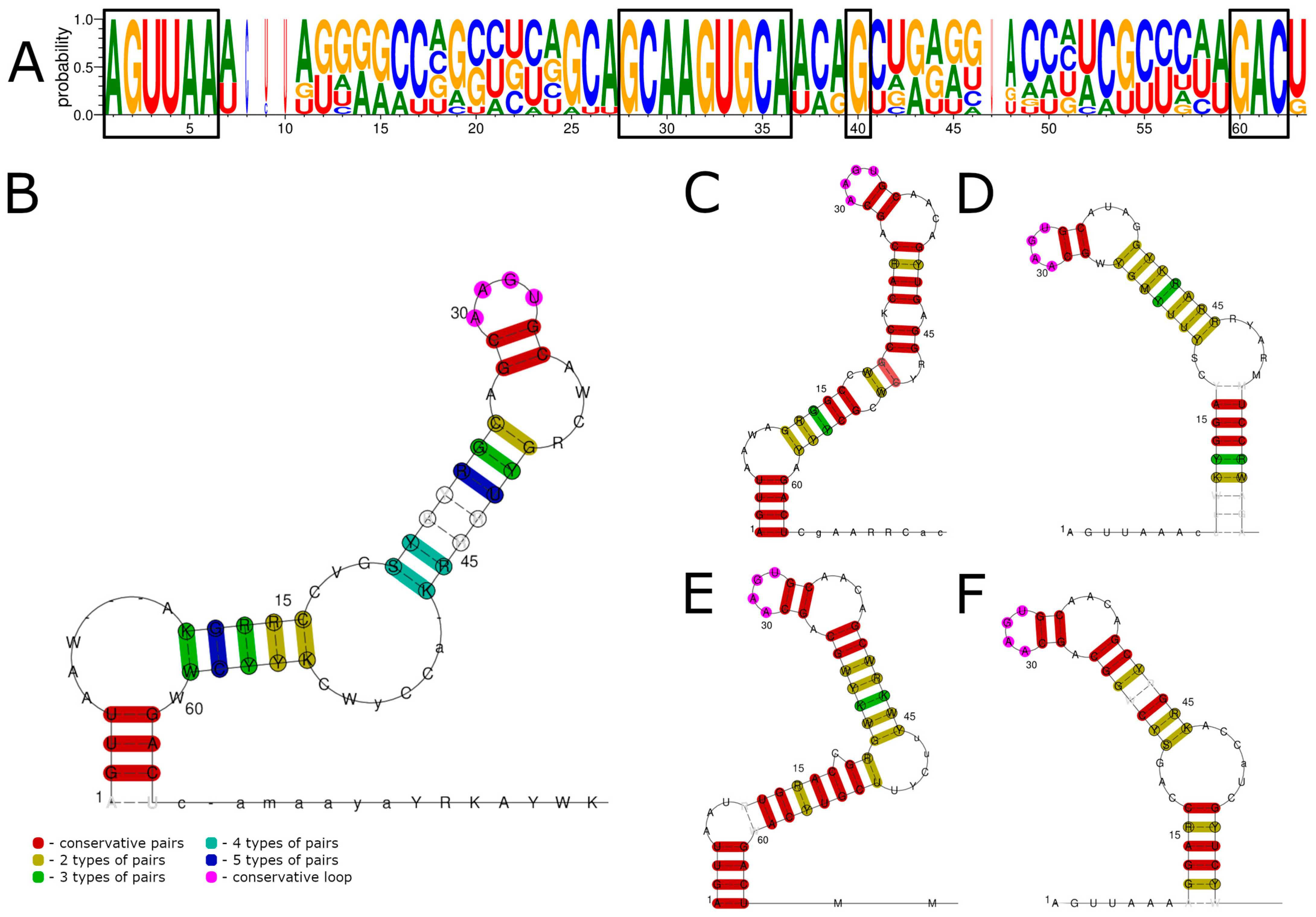 Viruses 15 00971 g001
