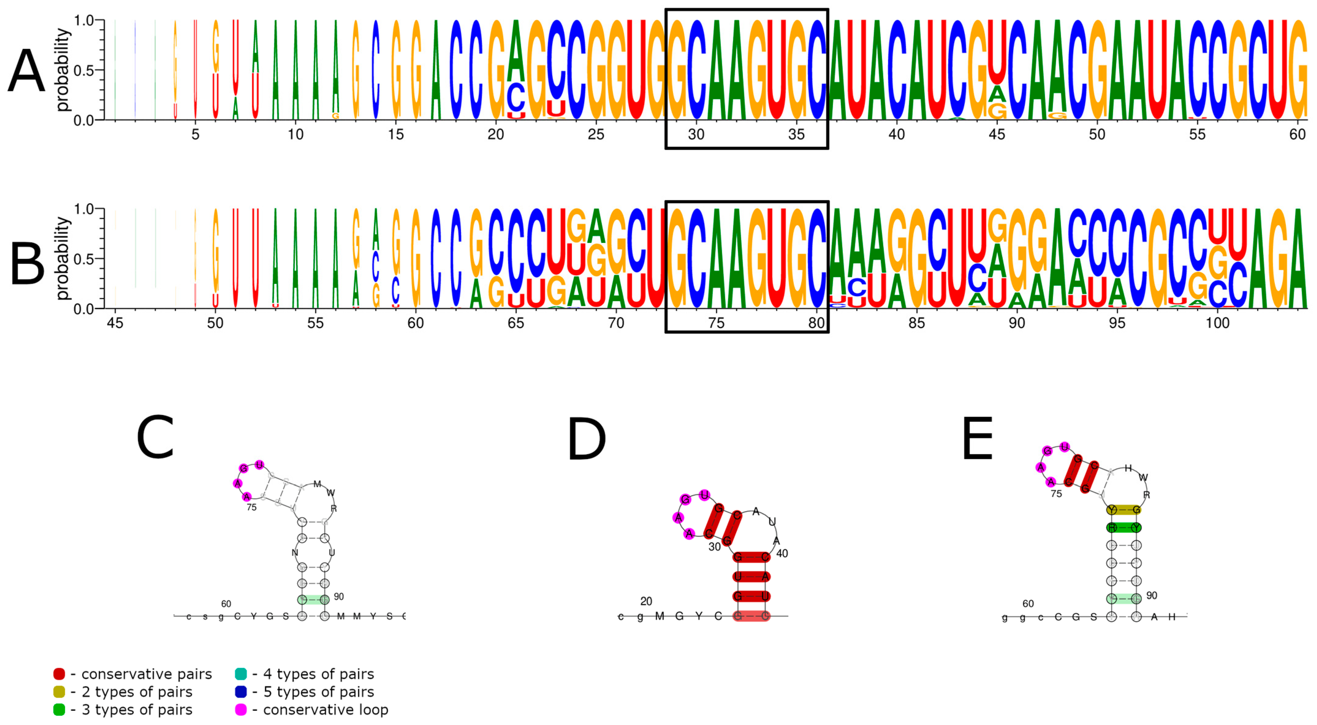 Viruses 15 00971 g002