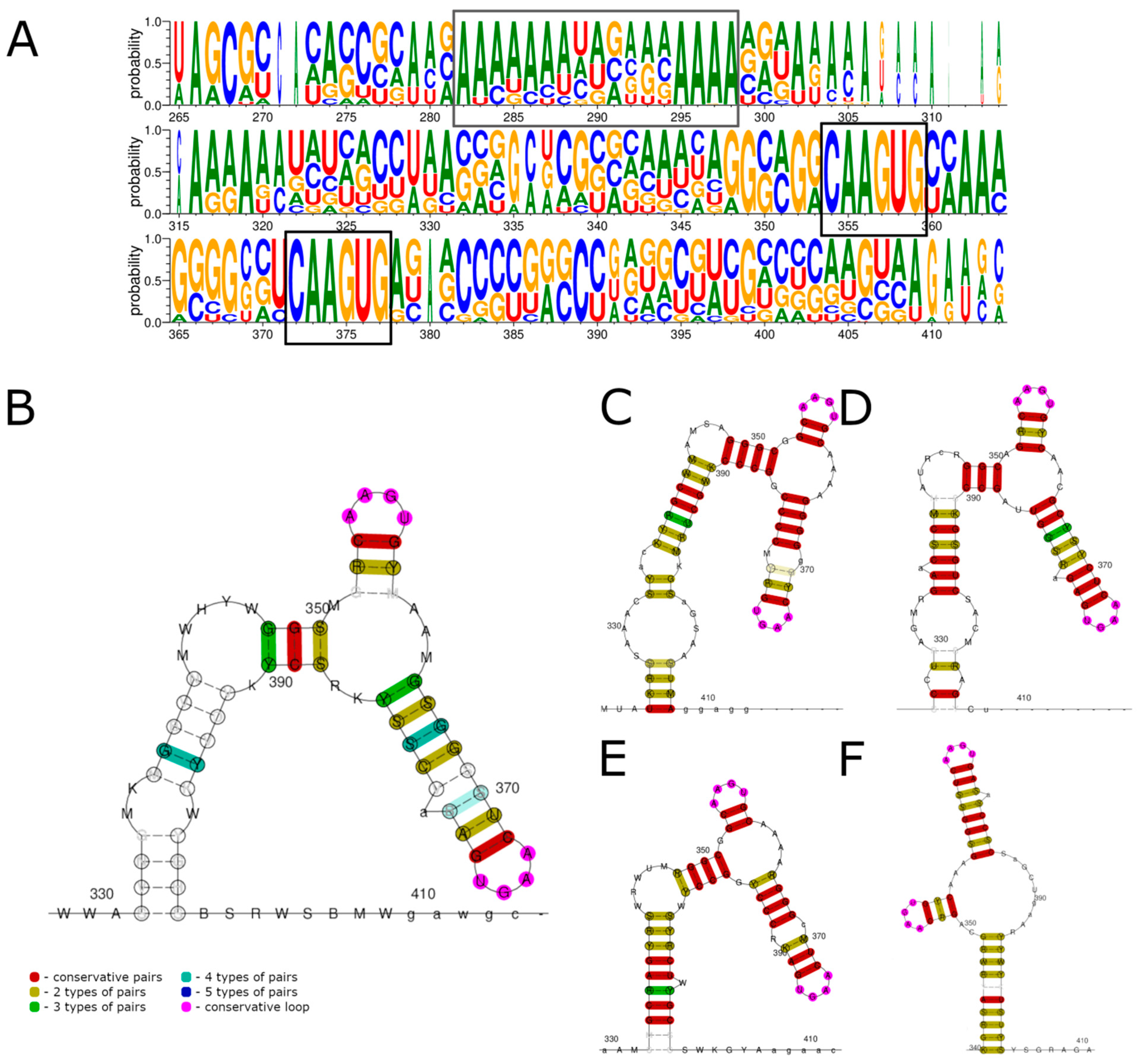 Viruses 15 00971 g003