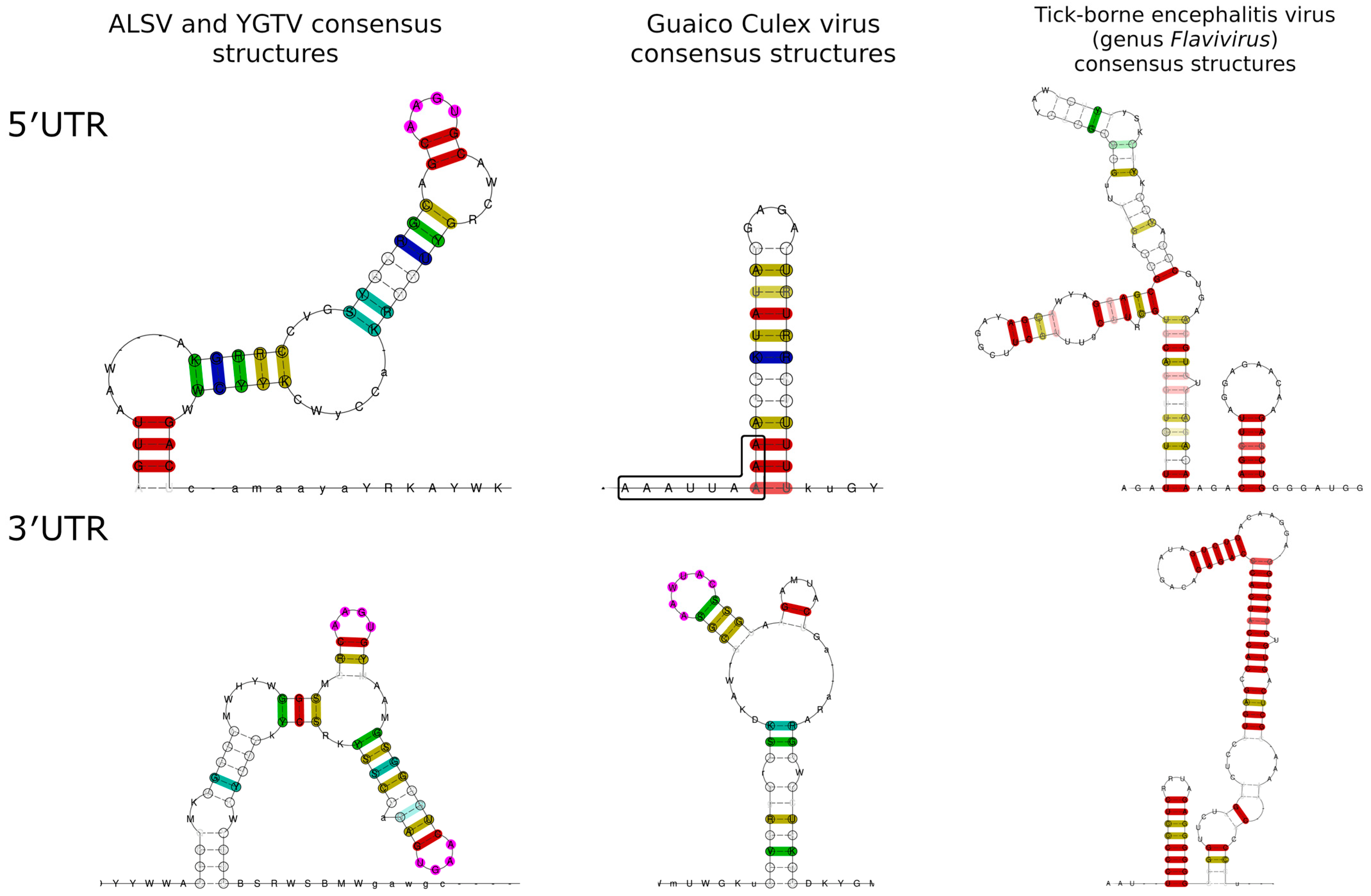 Viruses 15 00971 g005