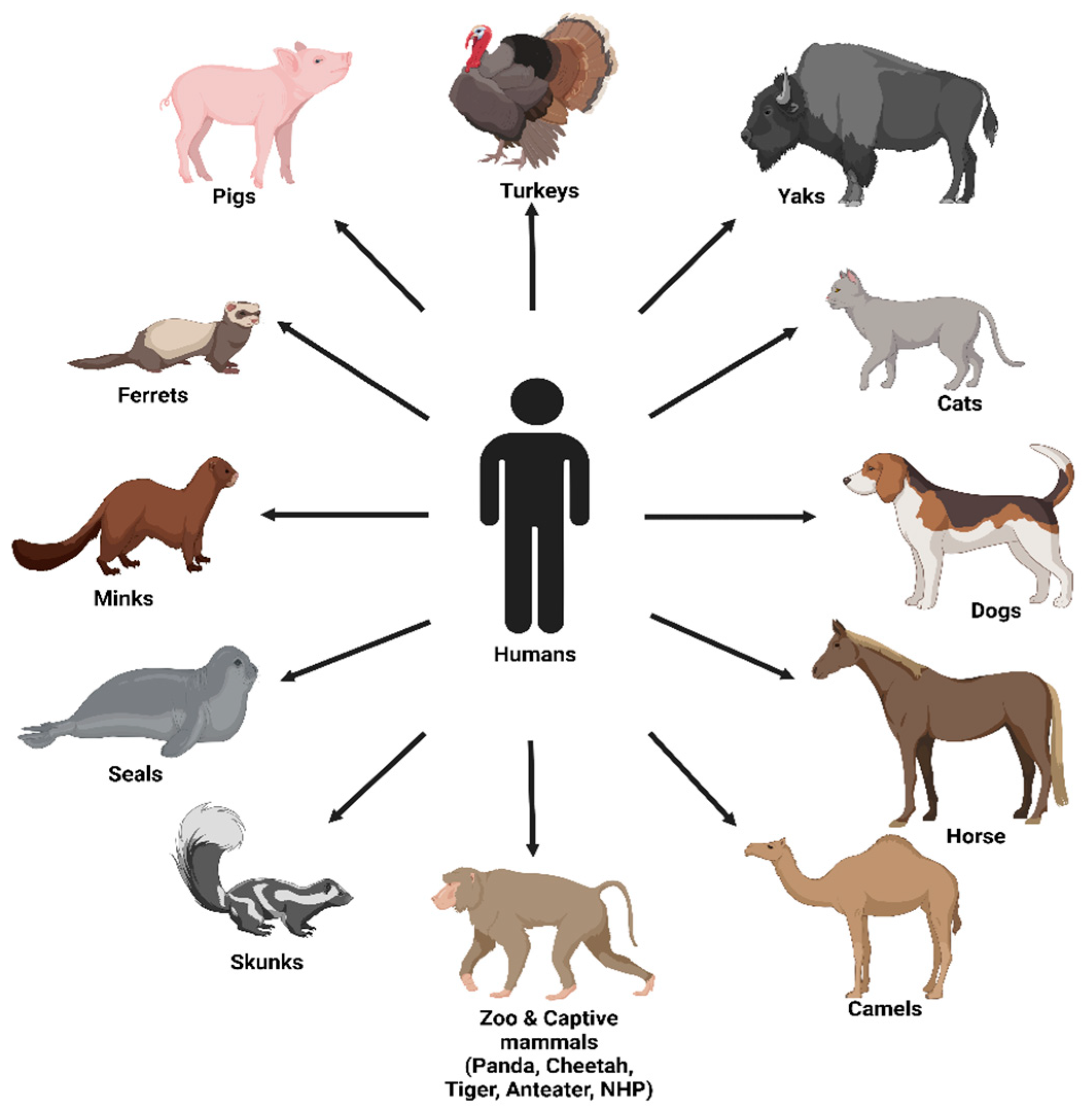 Viruses 15 00980 g004