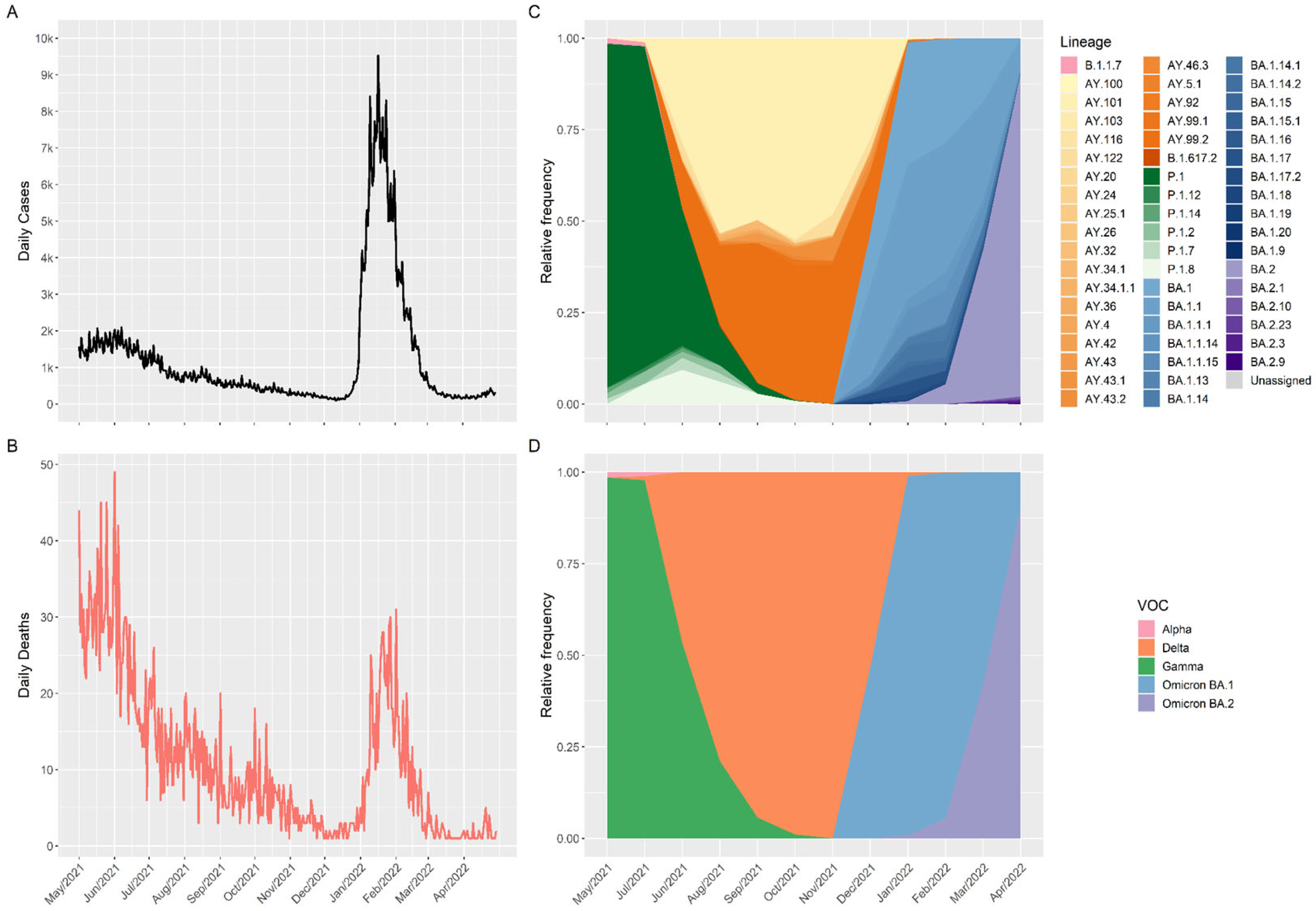 Viruses 15 00984 g001