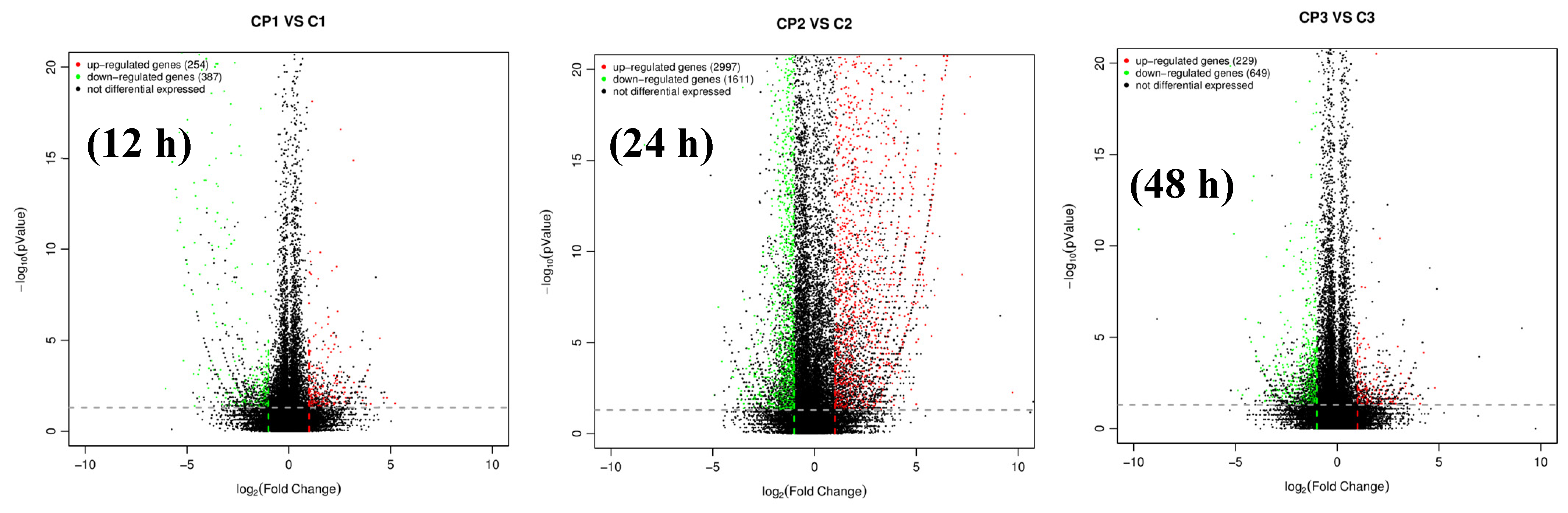 Viruses 15 00988 g004