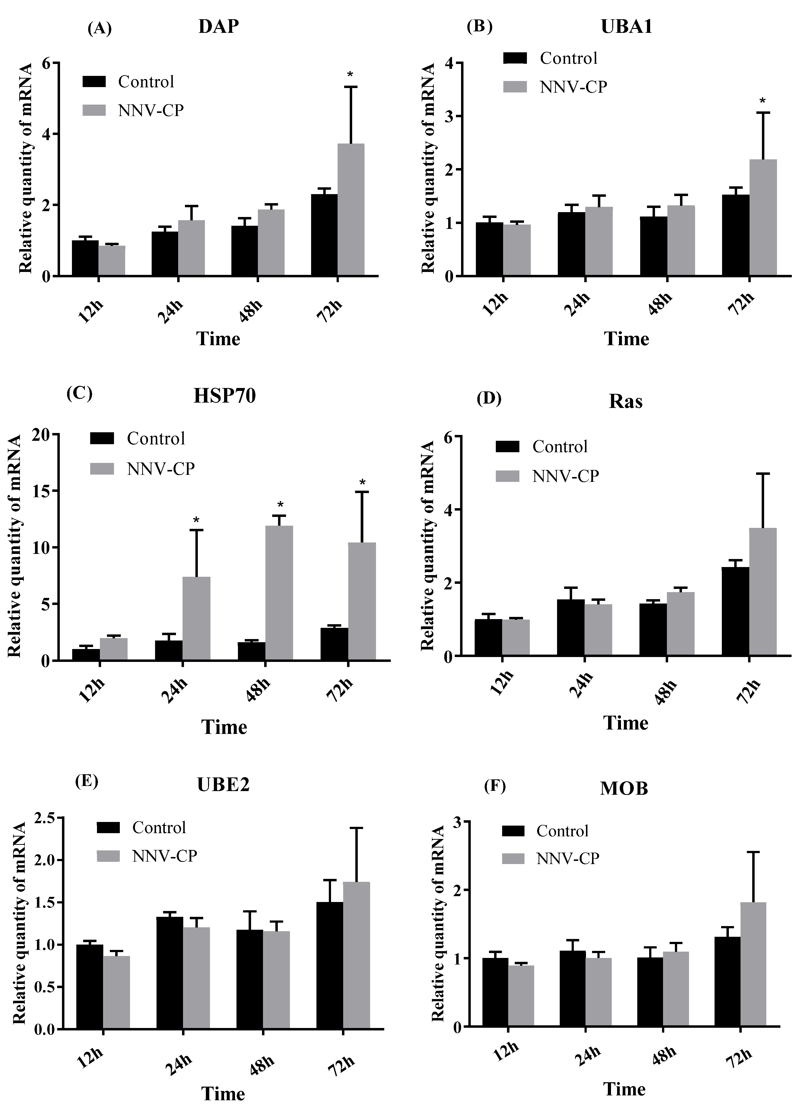 Viruses 15 00988 g005