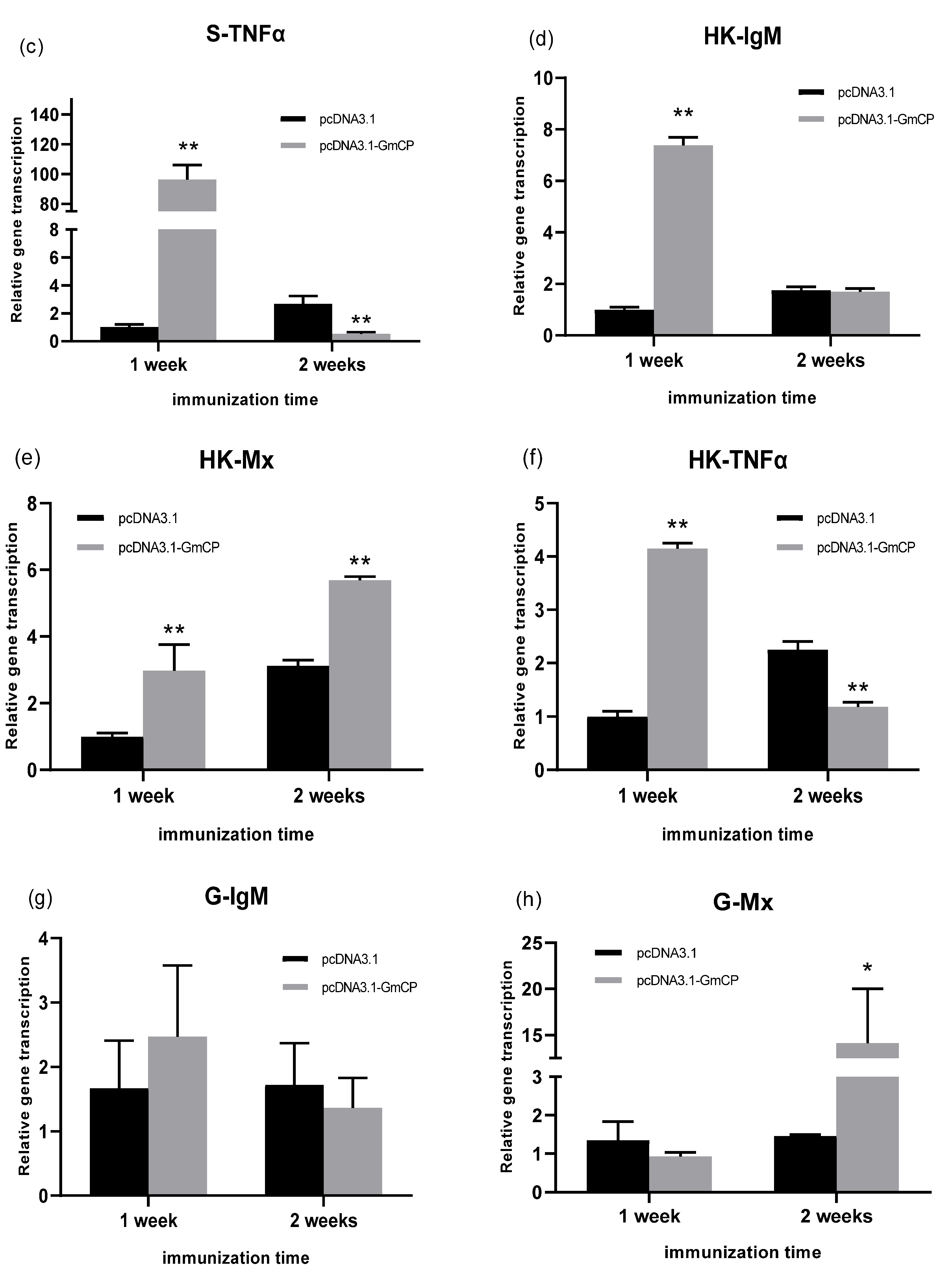 Viruses 15 00988 g007b
