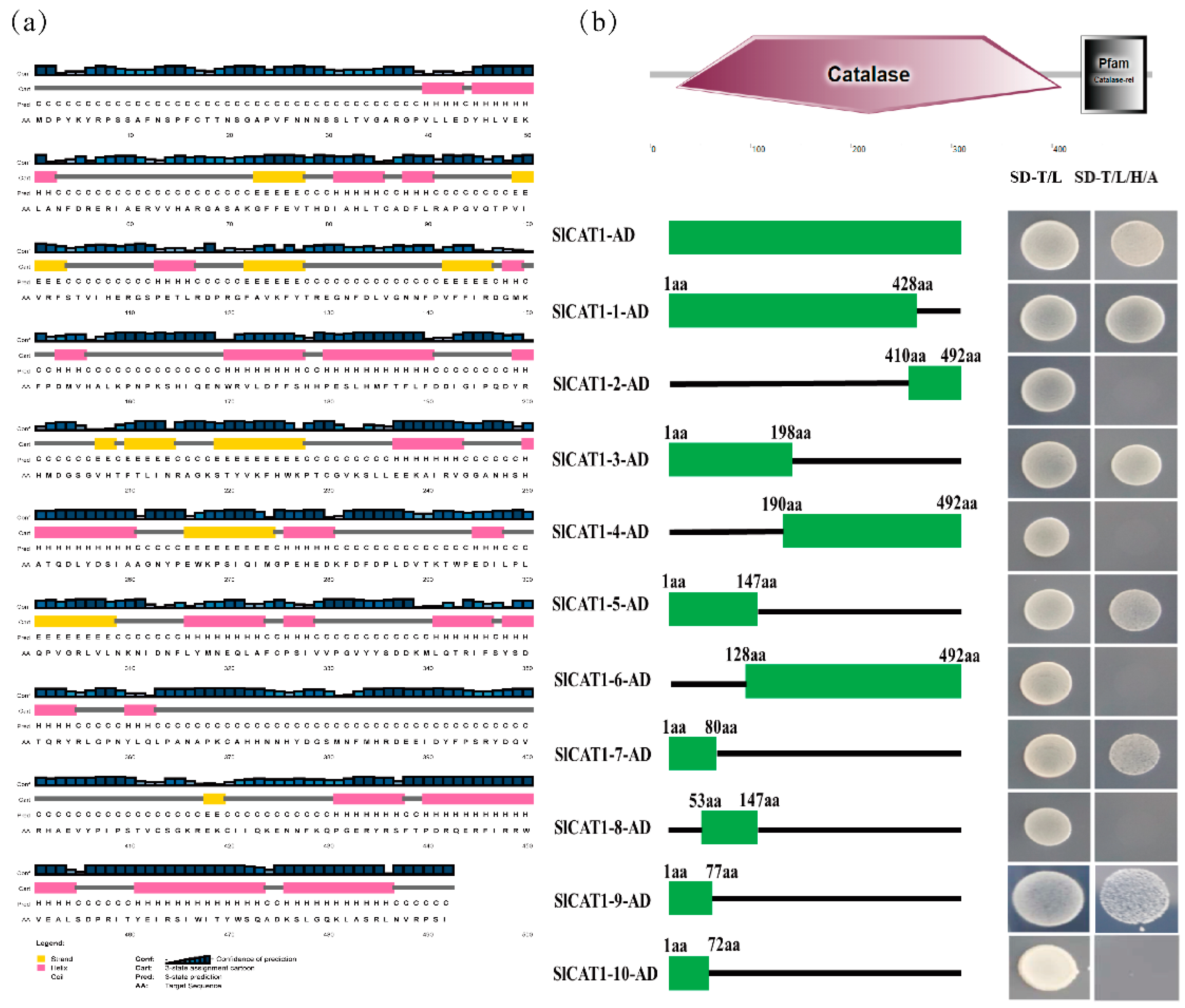 Viruses 15 00990 g004