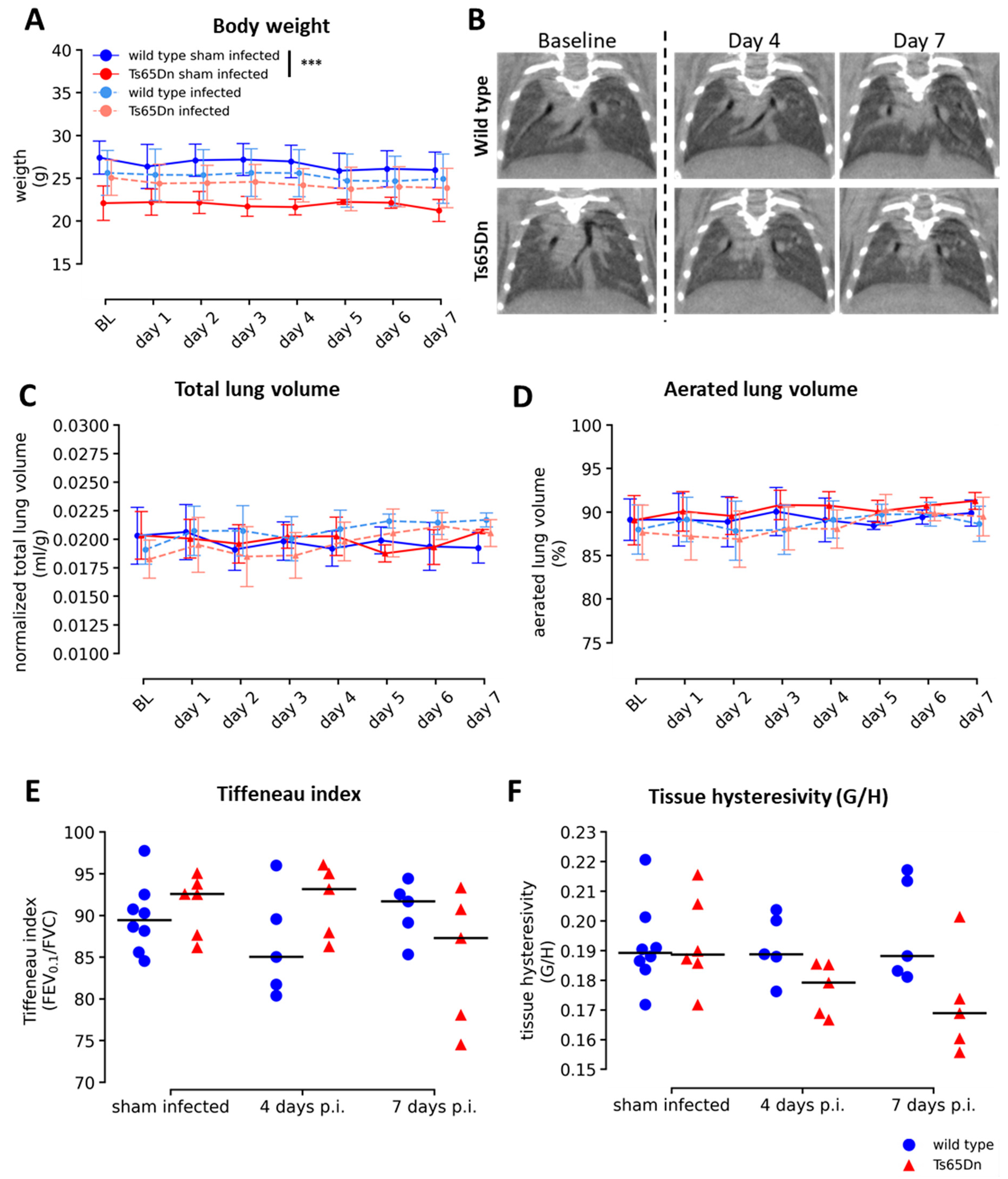 Viruses 15 00993 g003