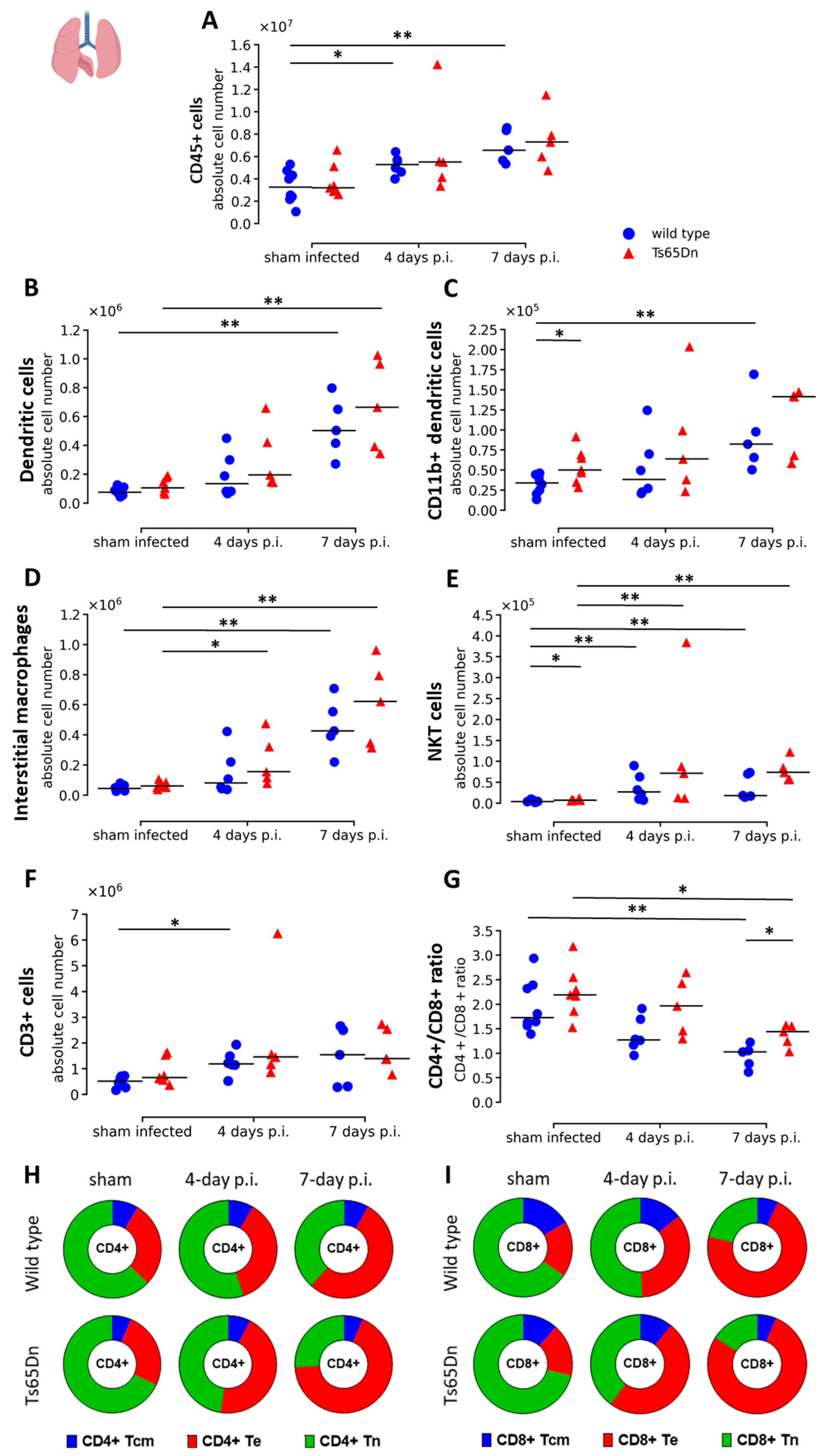 Viruses 15 00993 g006