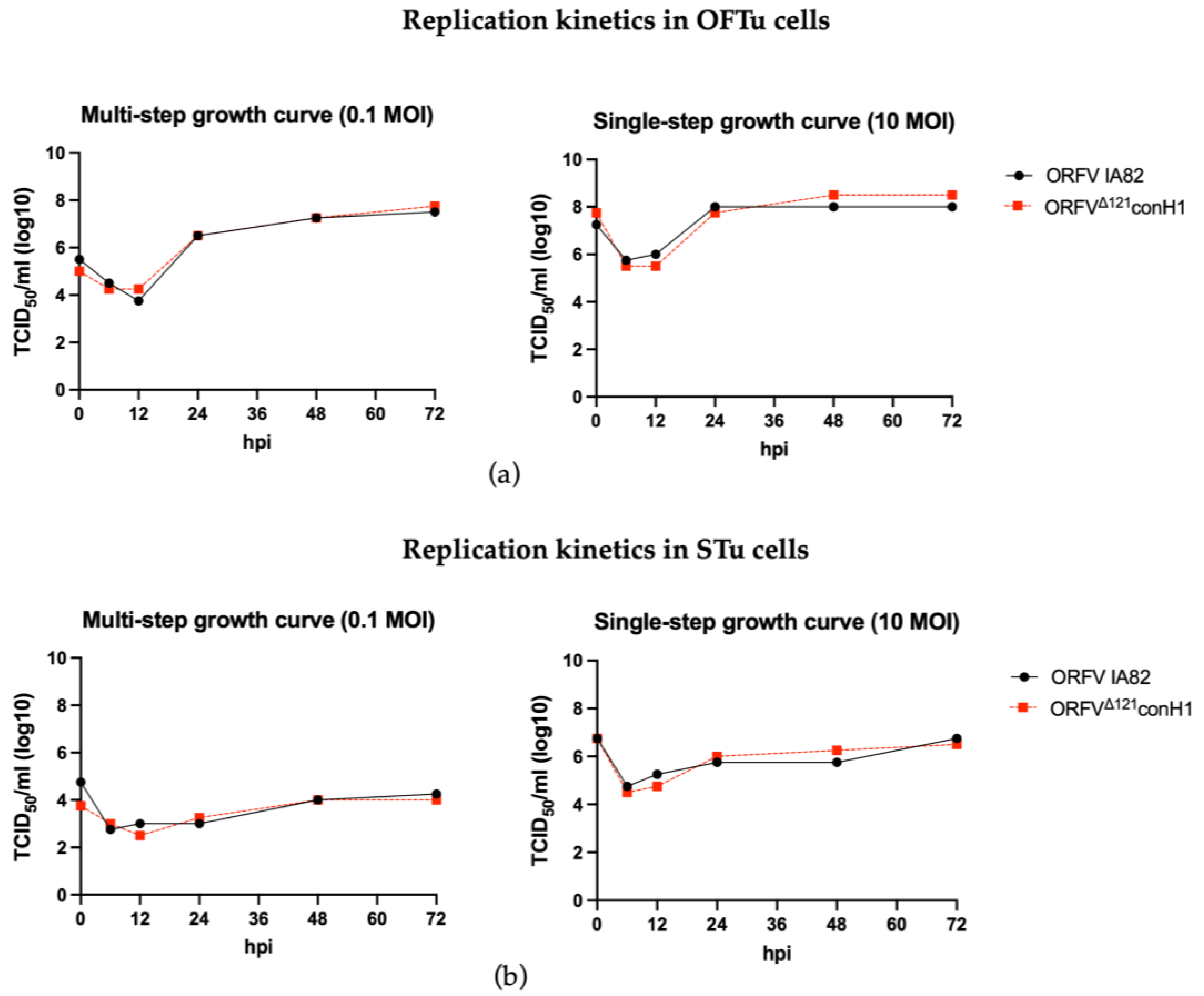Viruses 15 00994 g002 Viruses 15 00994 g002