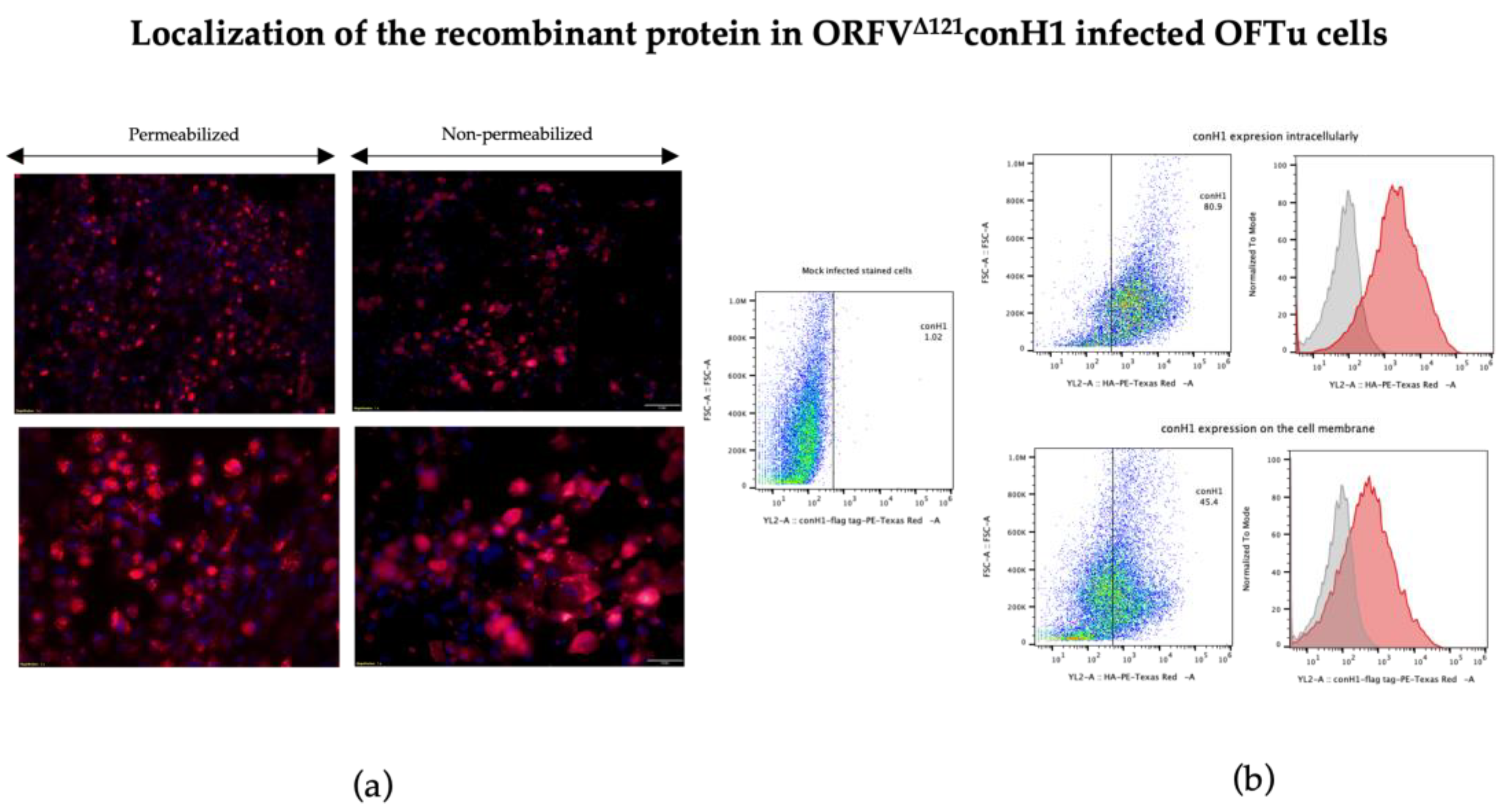 Viruses 15 00994 g003 Viruses 15 00994 g003