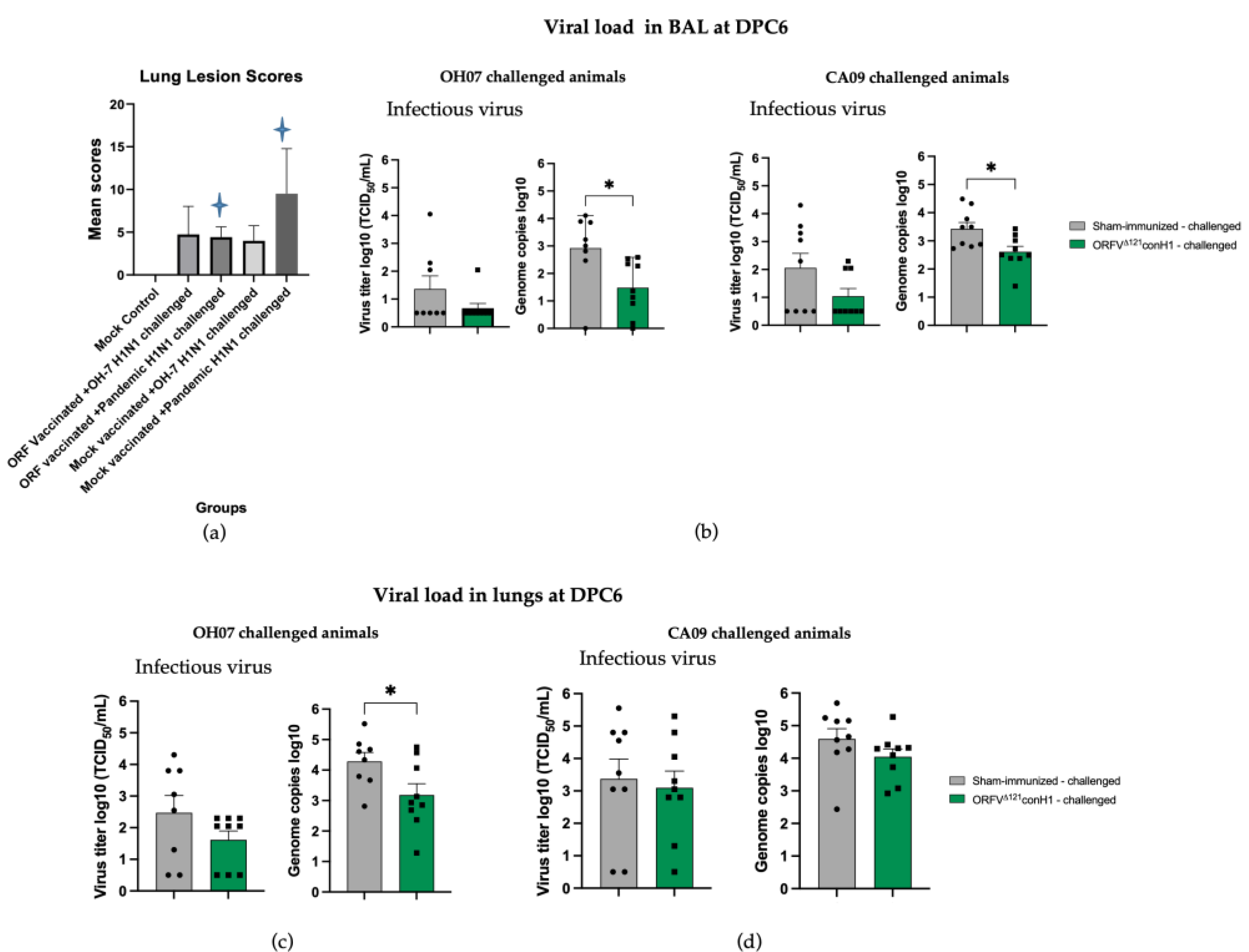 Viruses 15 00994 g009 Viruses 15 00994 g009