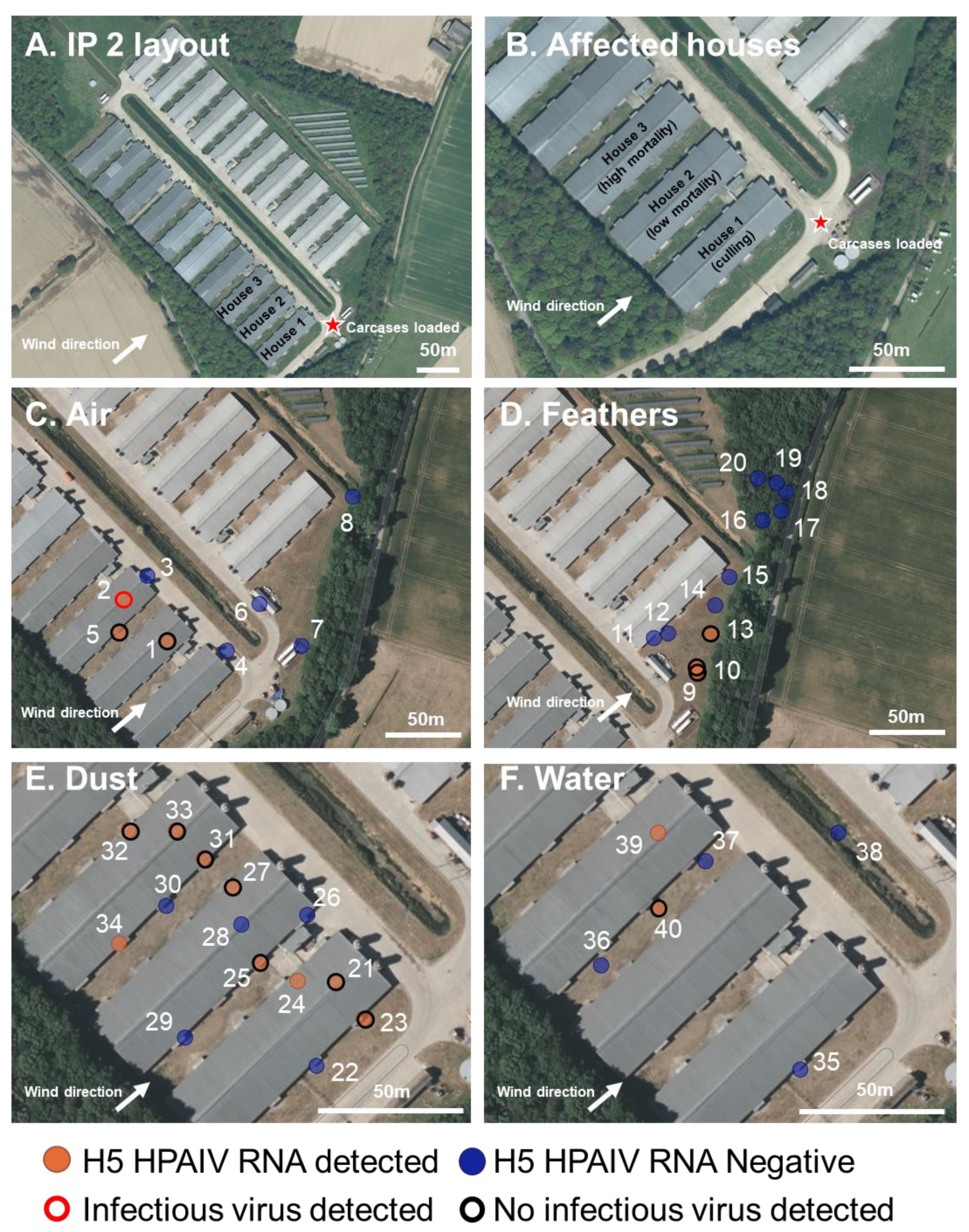 Viruses 15 01002 g002 Viruses 15 01002 g002