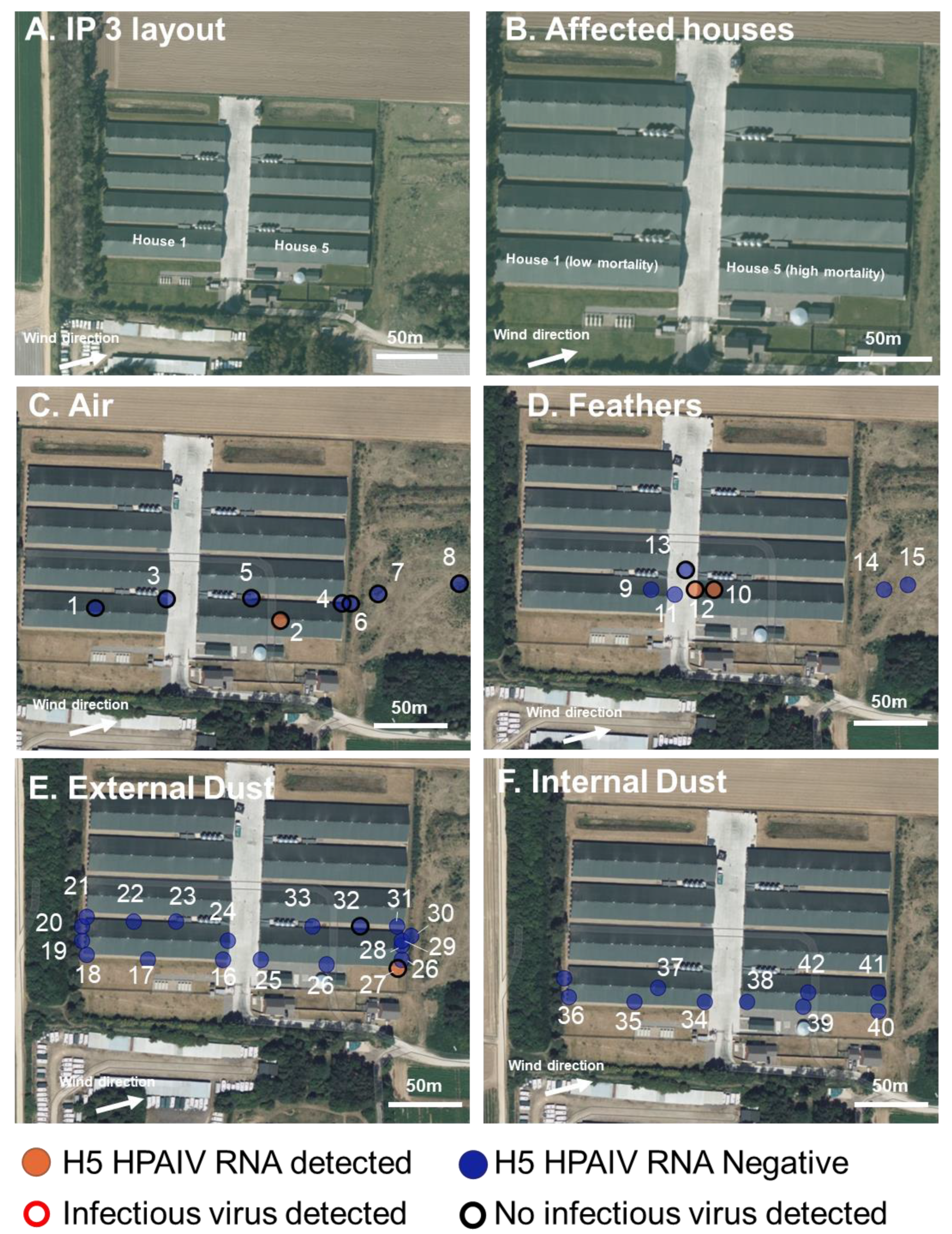 Viruses 15 01002 g003 Viruses 15 01002 g003