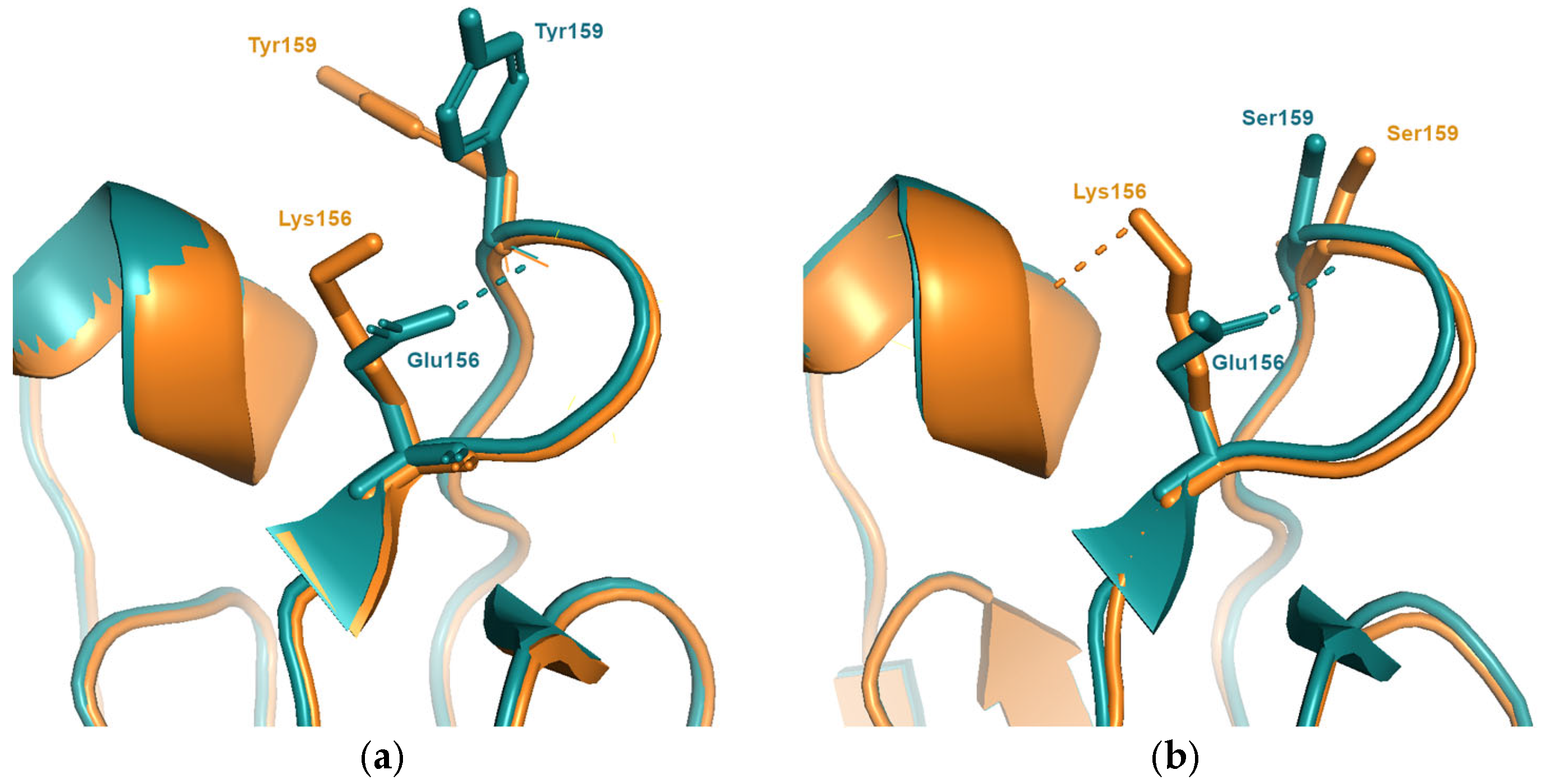 Viruses 15 01008 g002