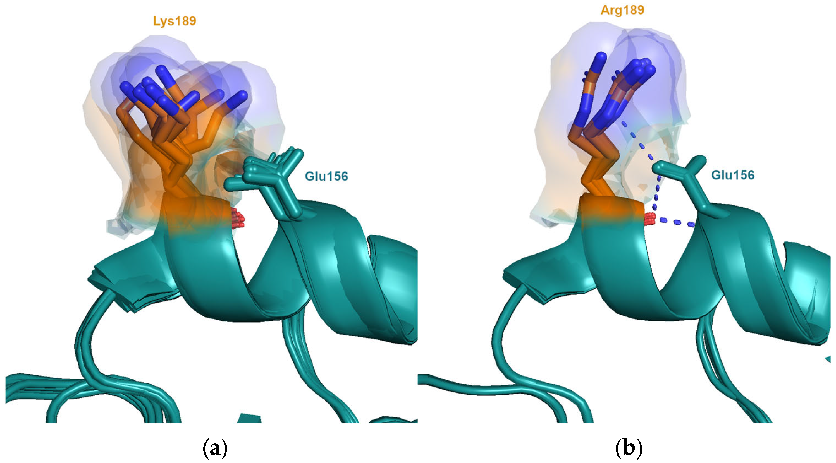 Viruses 15 01008 g004