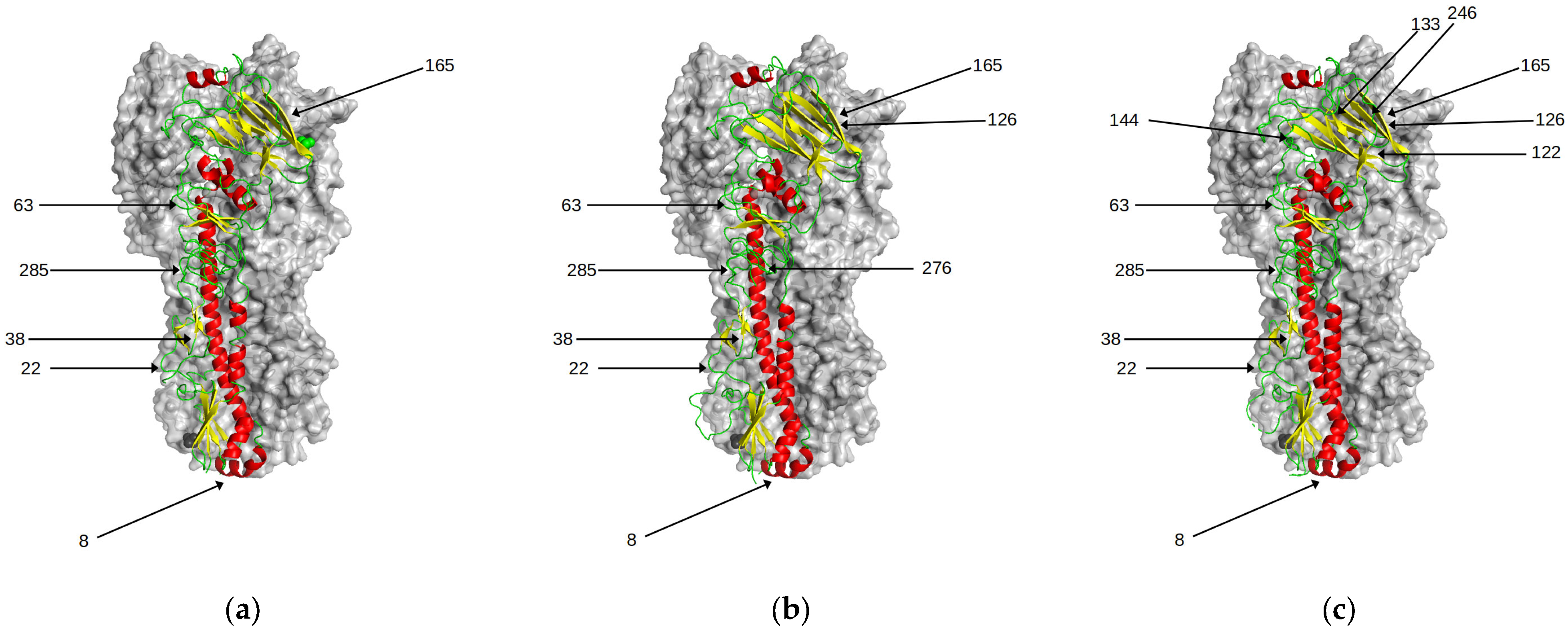 Viruses 15 01008 g006a