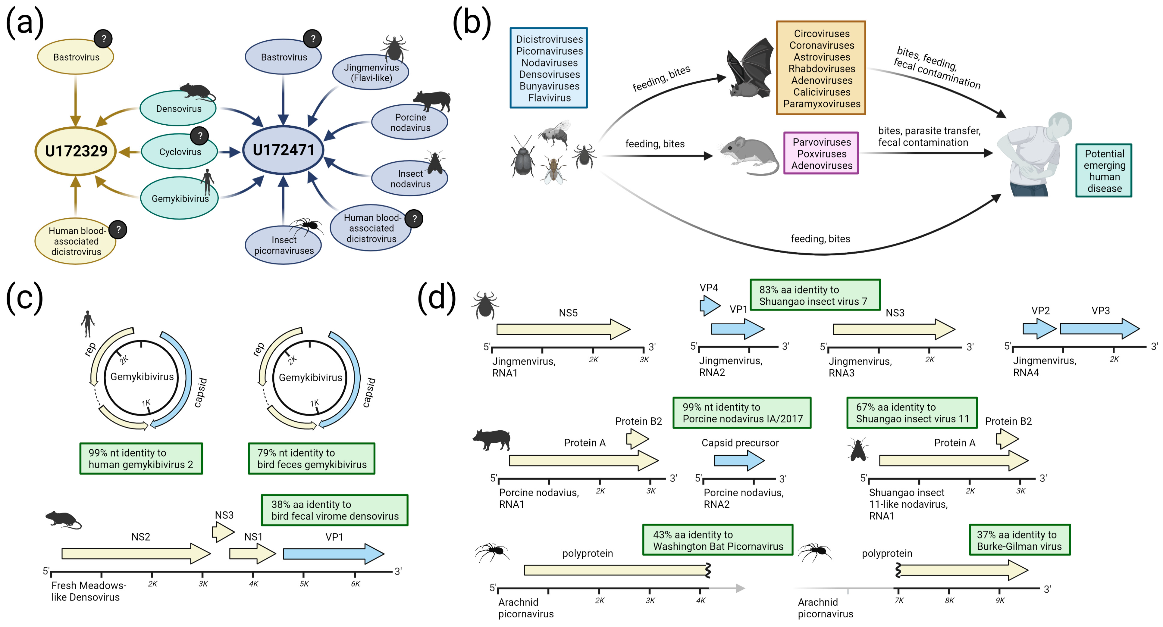 Viruses 15 01022 g002