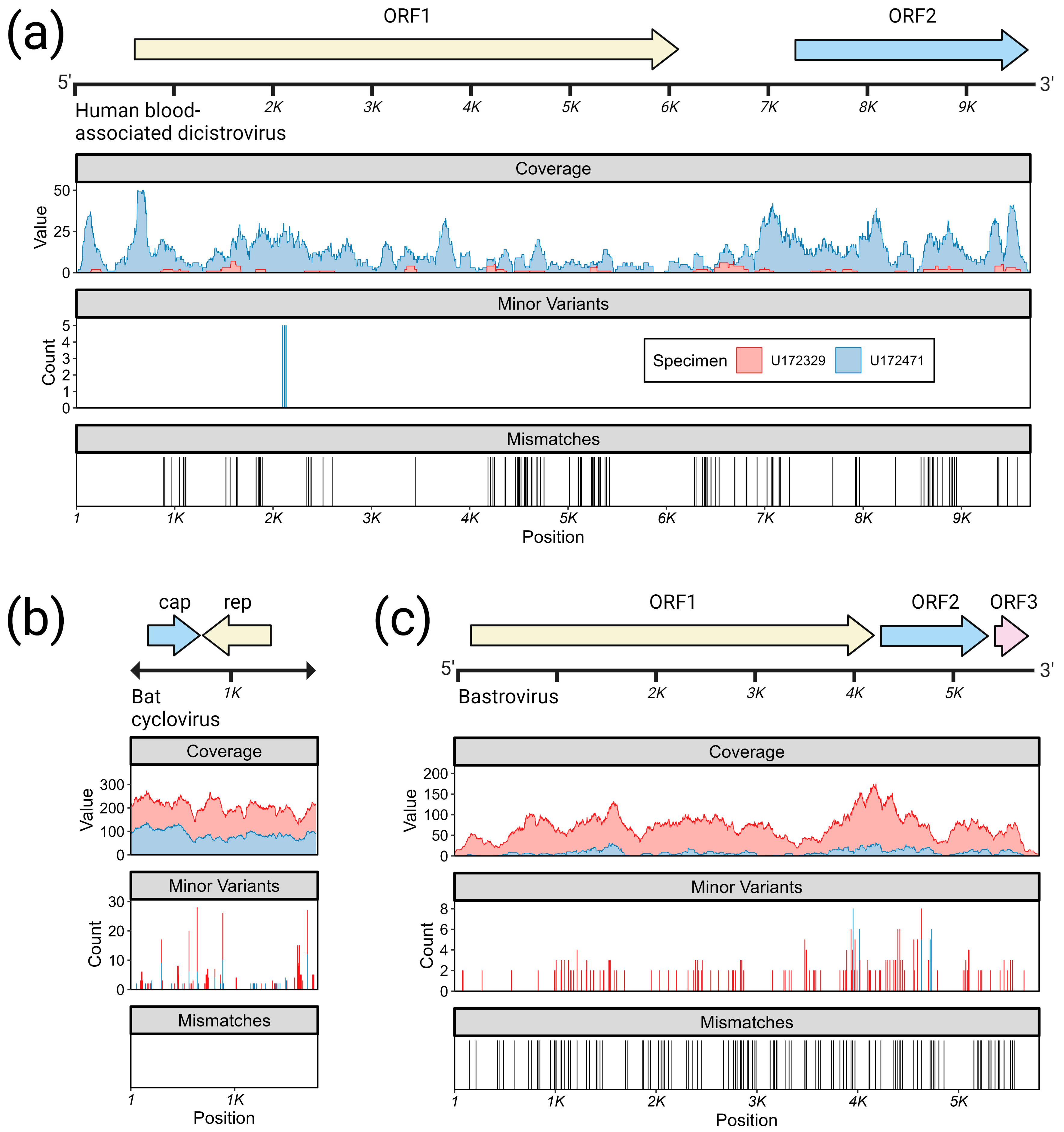 Viruses 15 01022 g003