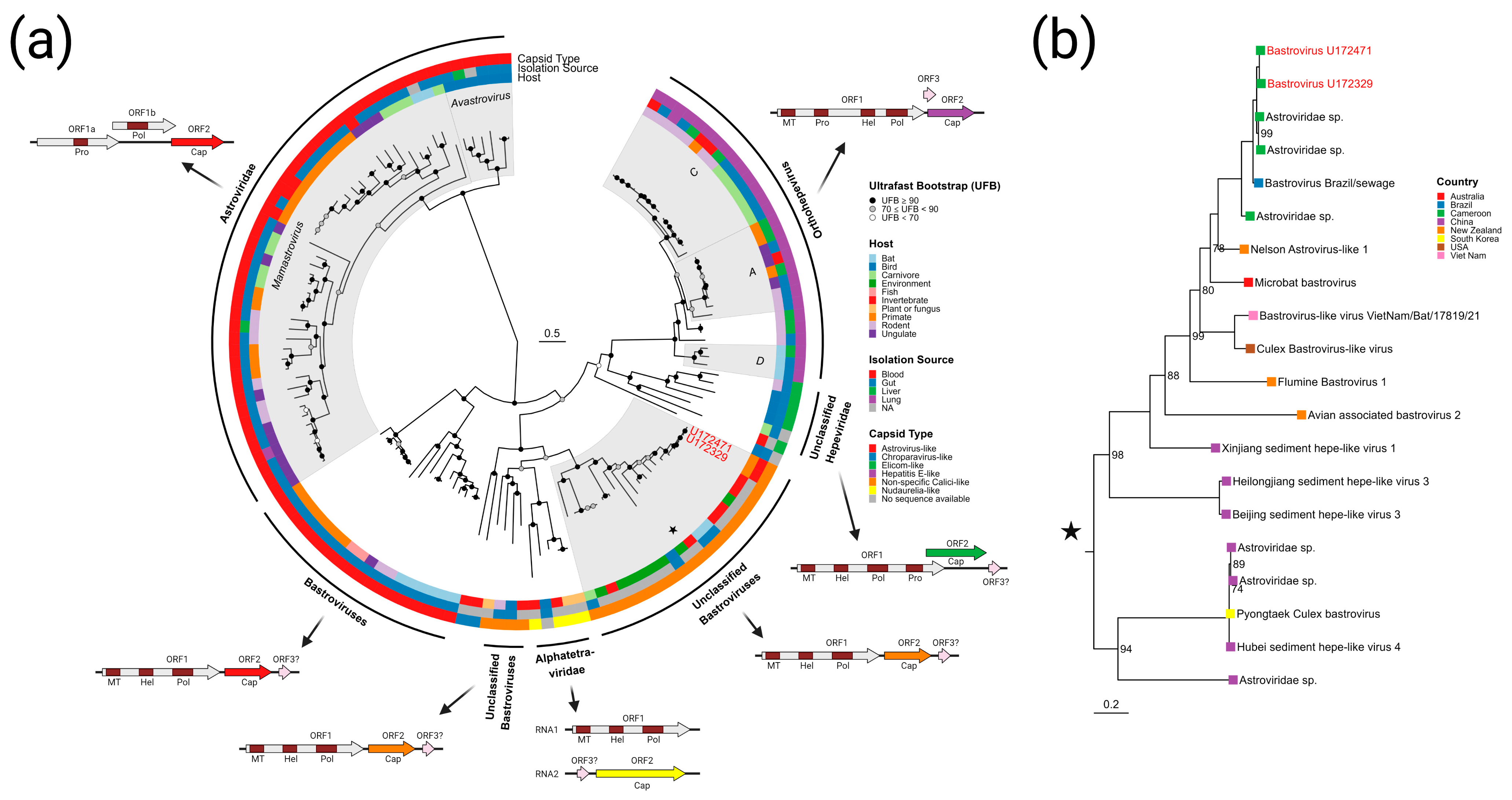 Viruses 15 01022 g004