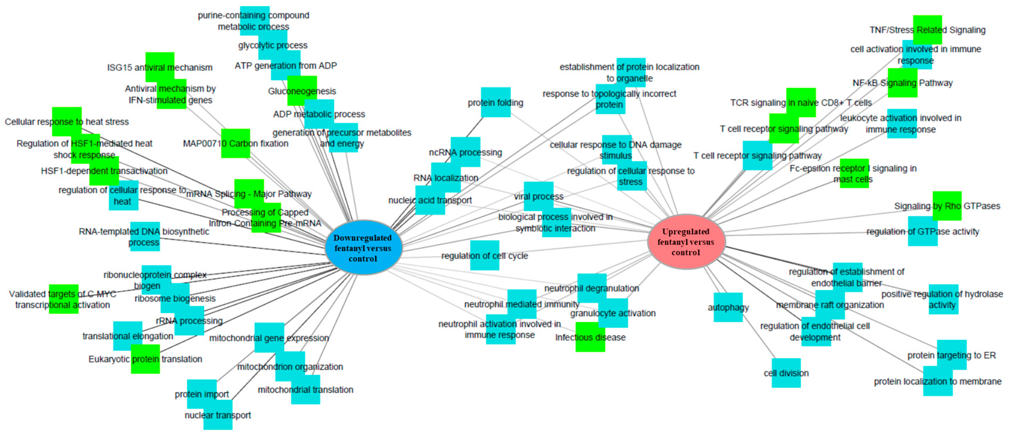 Viruses 15 01027 g010
