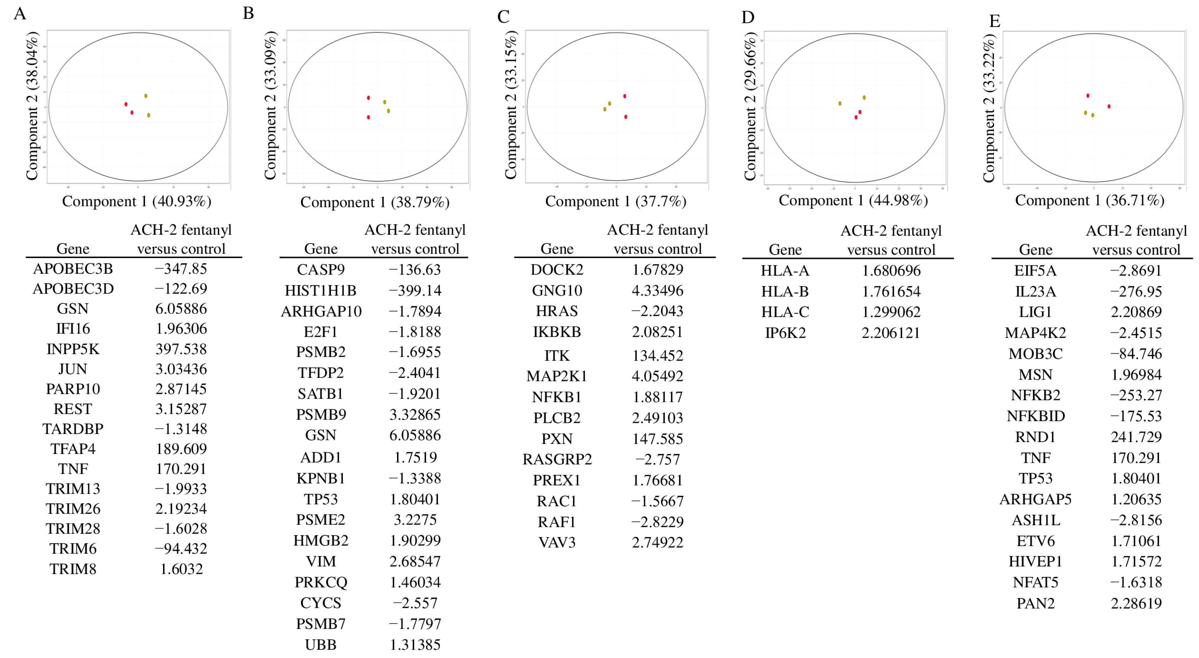 Viruses 15 01027 g011