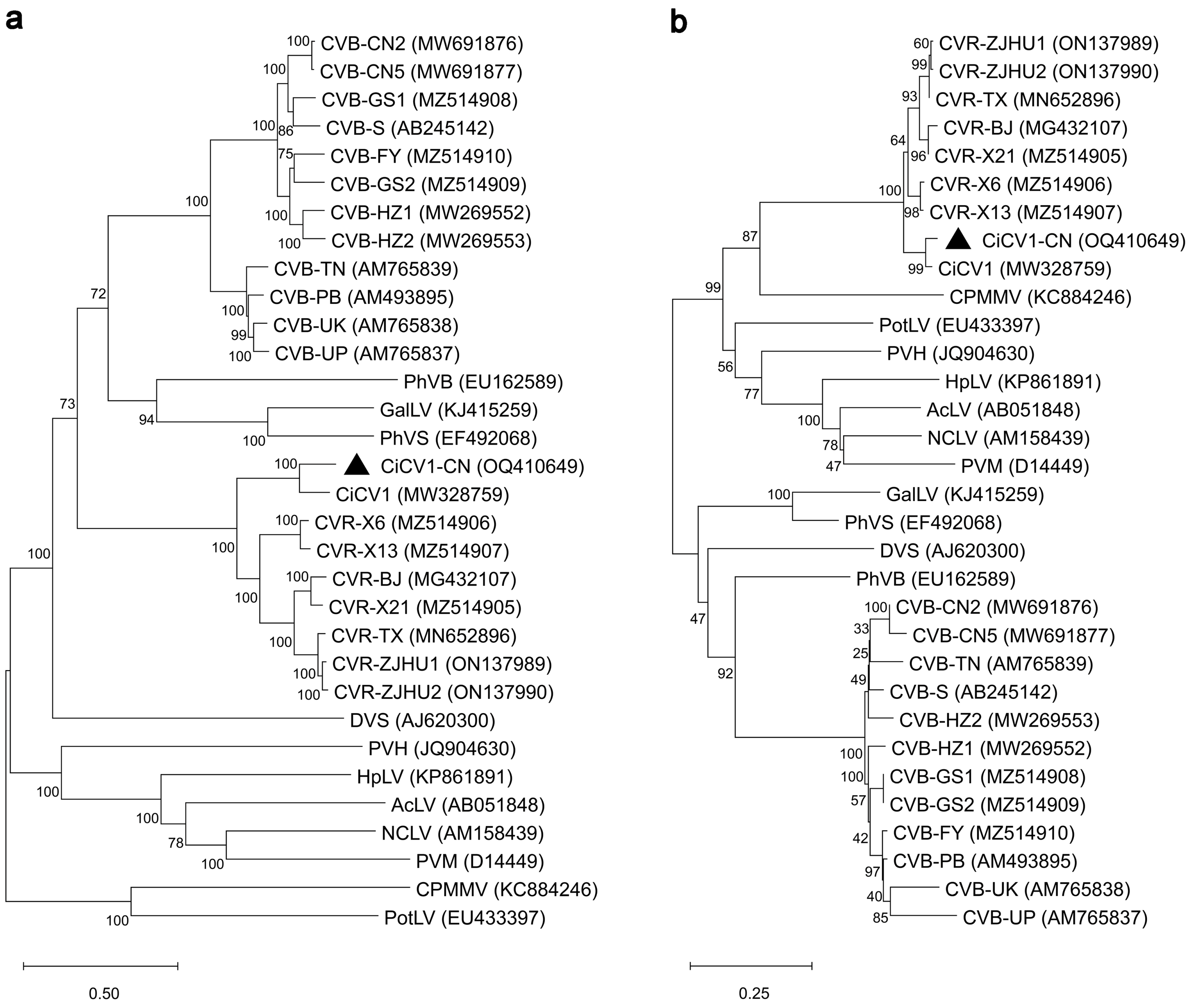 Viruses 15 01029 g002