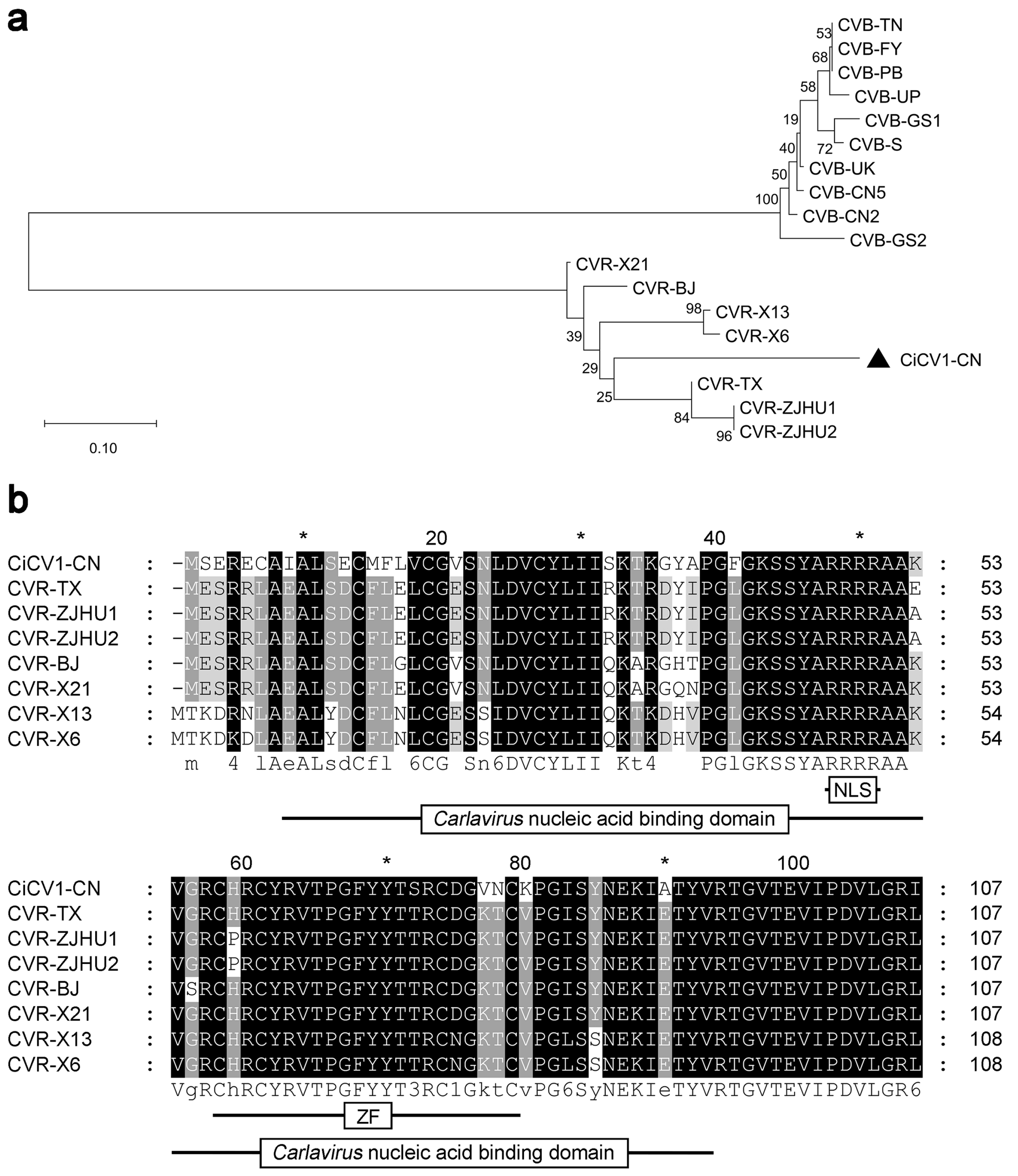 Viruses 15 01029 g004