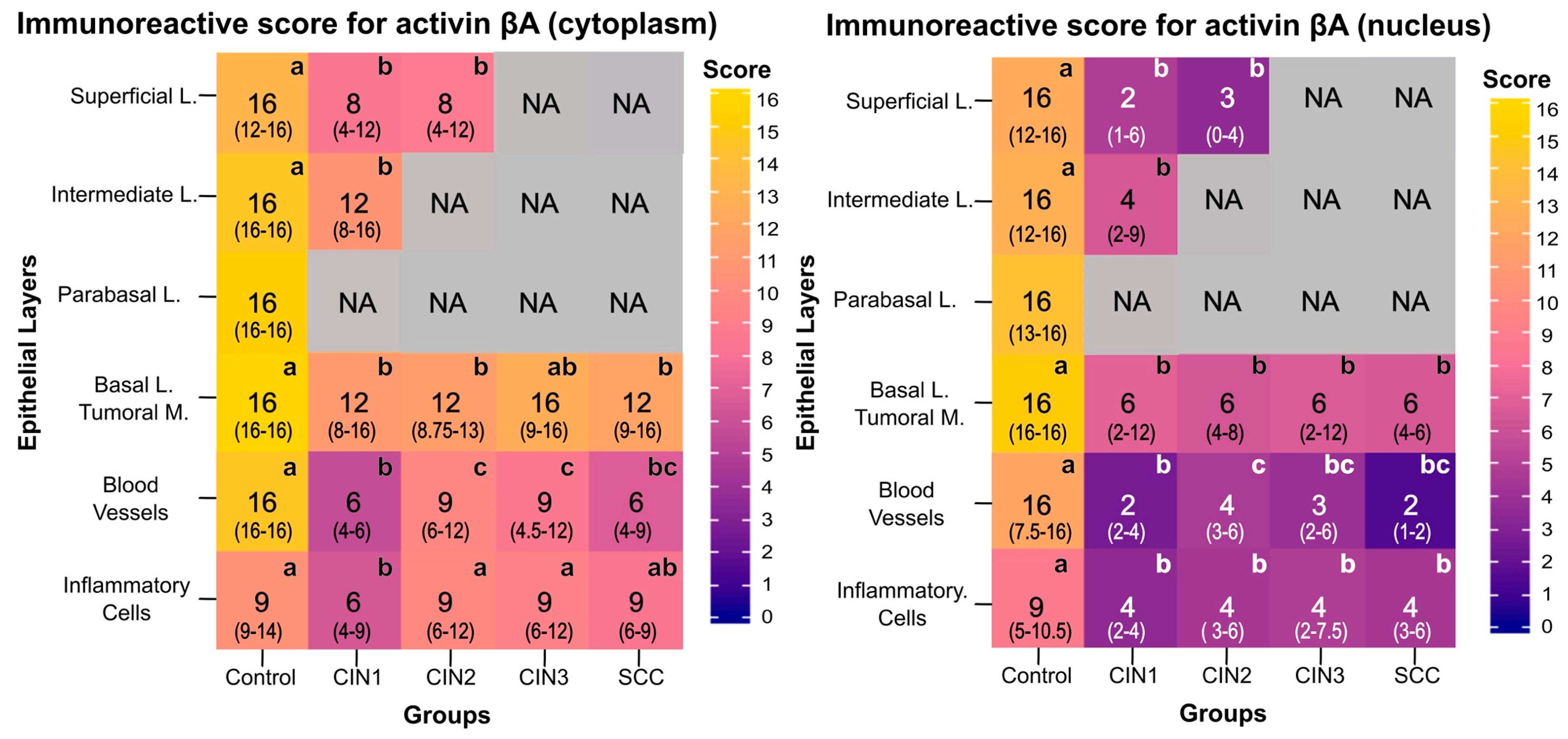 Viruses 15 01031 g003
