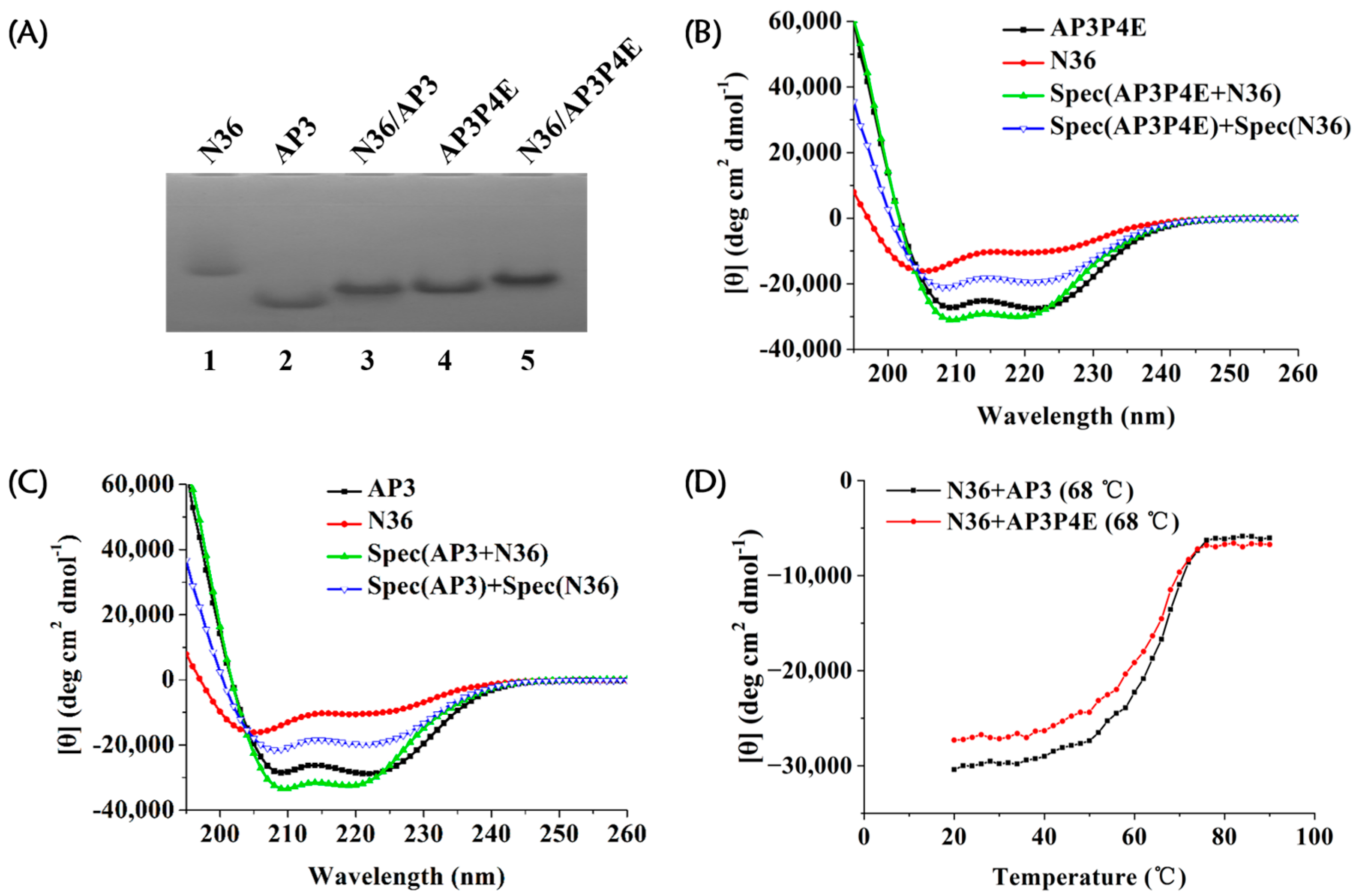 Viruses 15 01038 g003