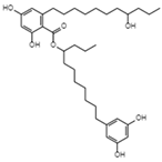 Viruses 15 01039 i012 Viruses 15 01039 i012