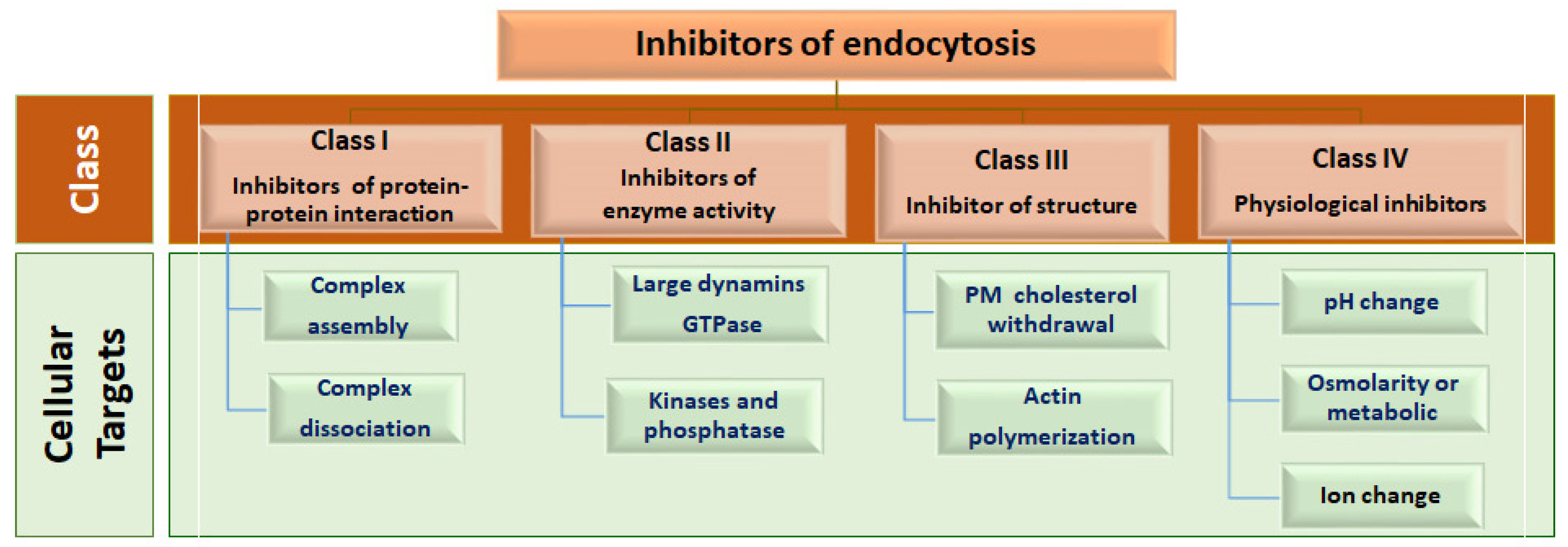 Viruses 15 01040 g002