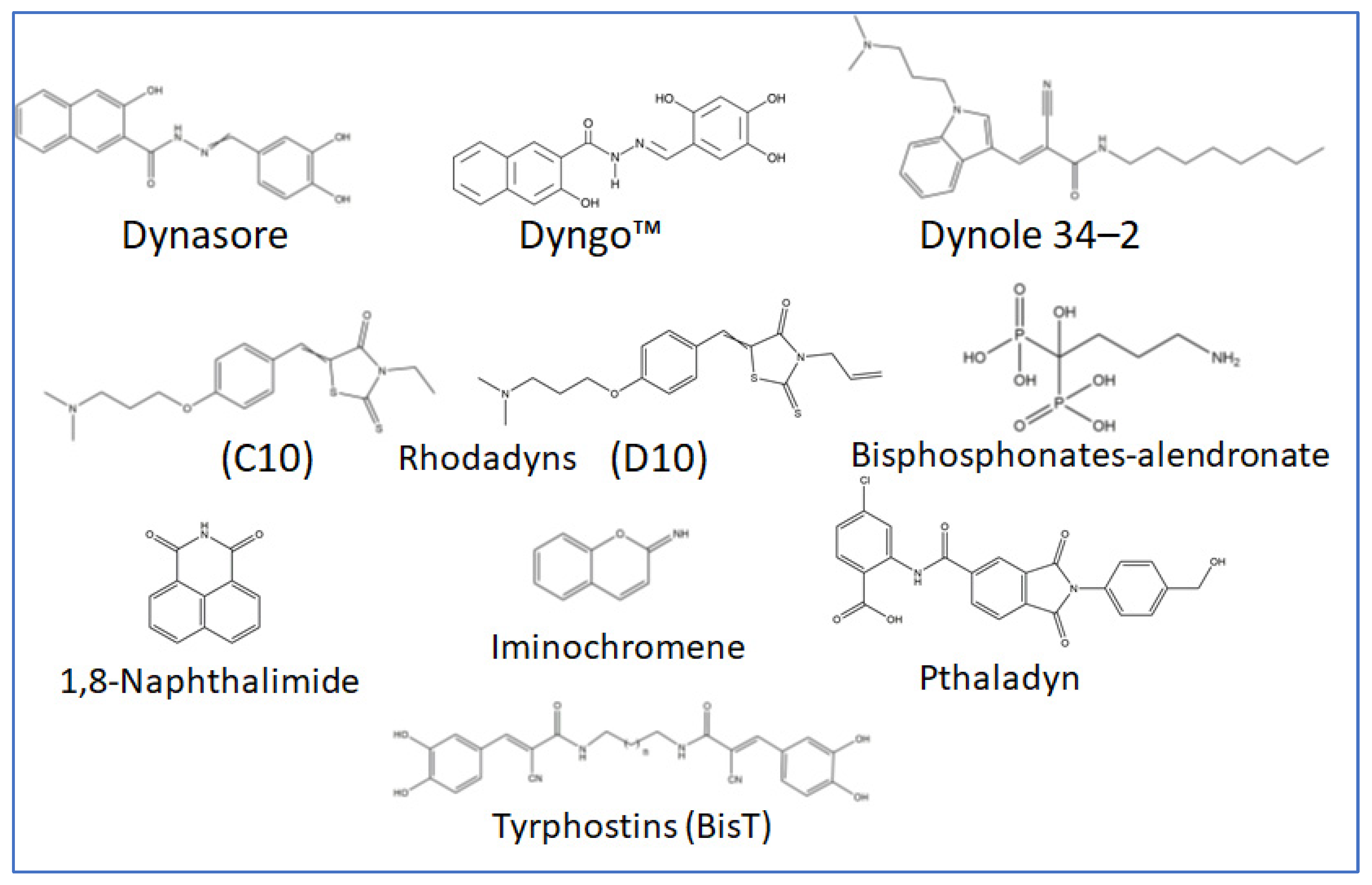 Viruses 15 01040 g004