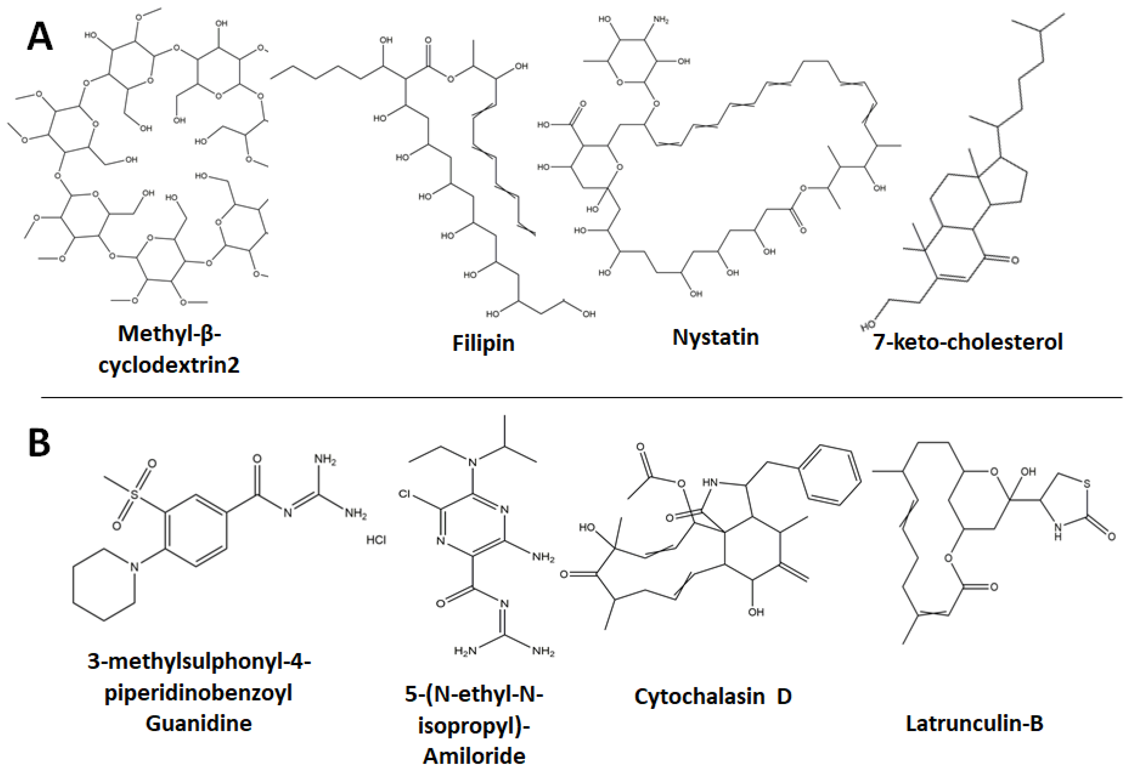 Viruses 15 01040 g006