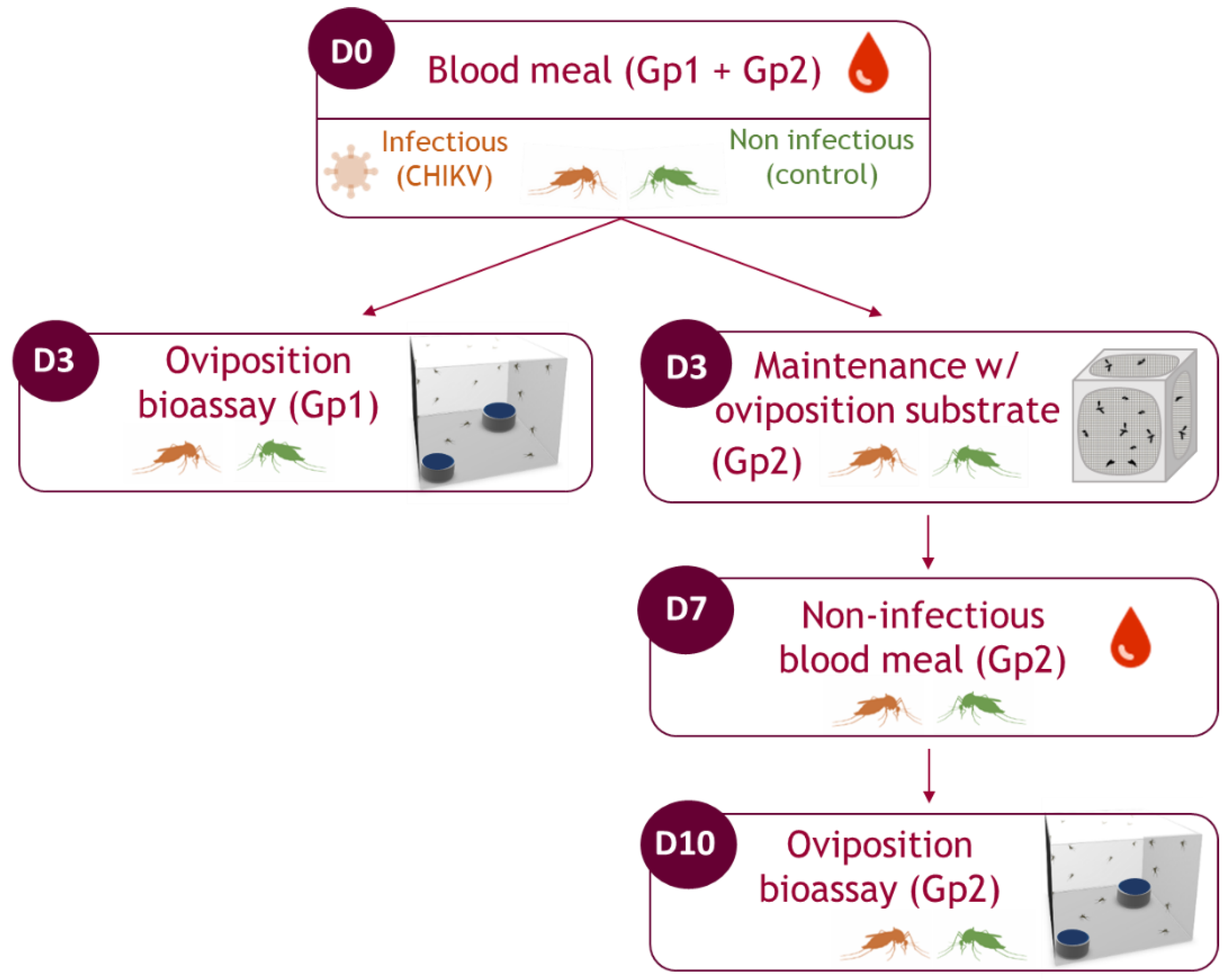 Viruses 15 01043 g001