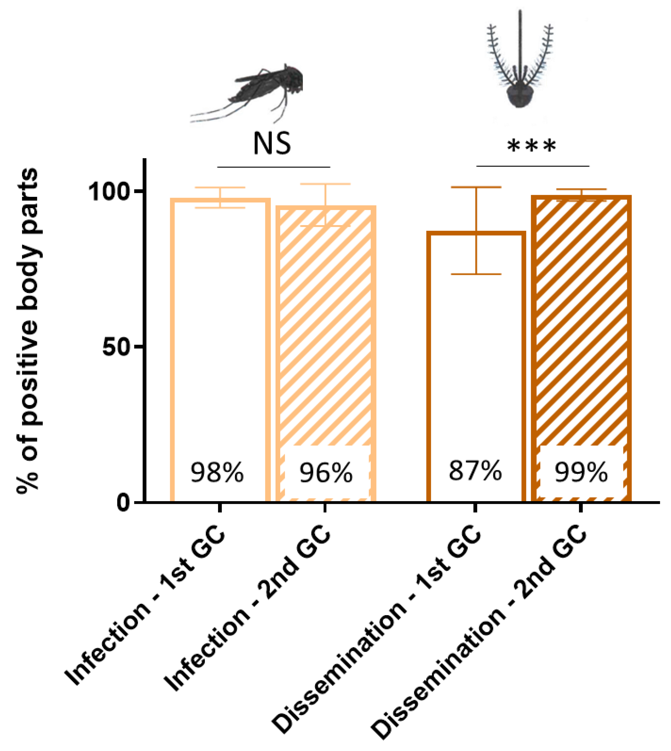 Viruses 15 01043 g002