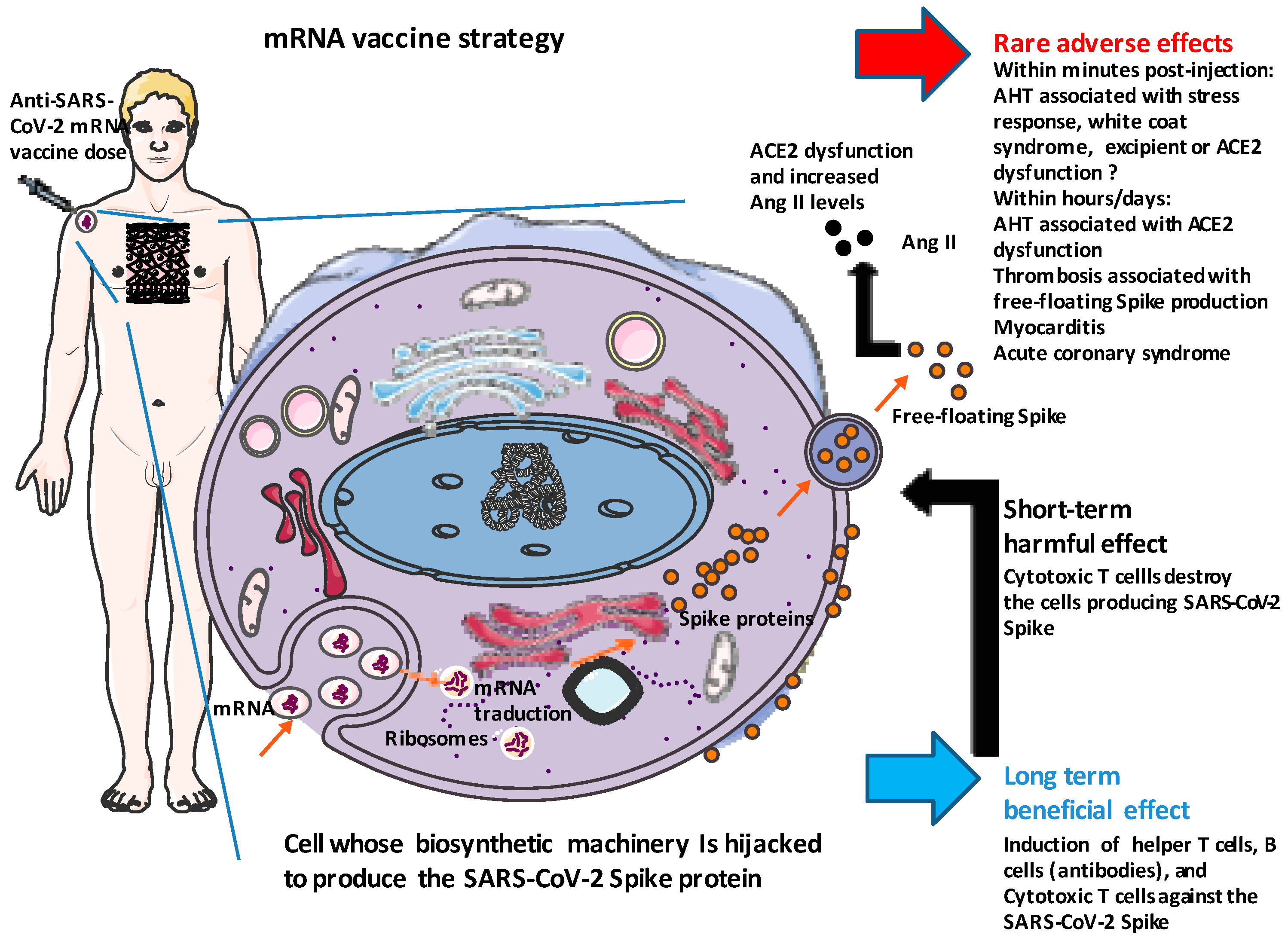 Viruses 15 01045 g002