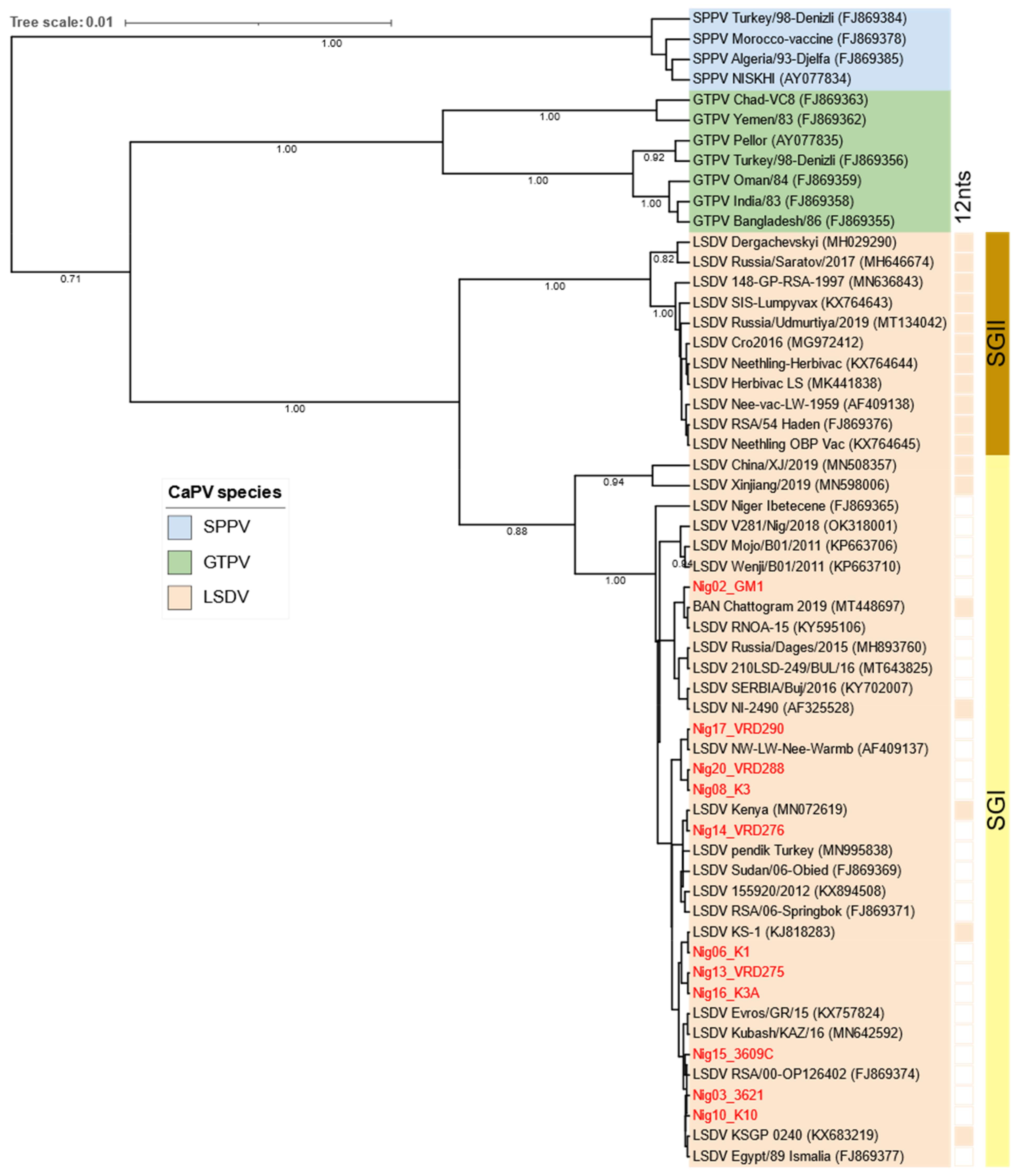 Viruses 15 01051 g005