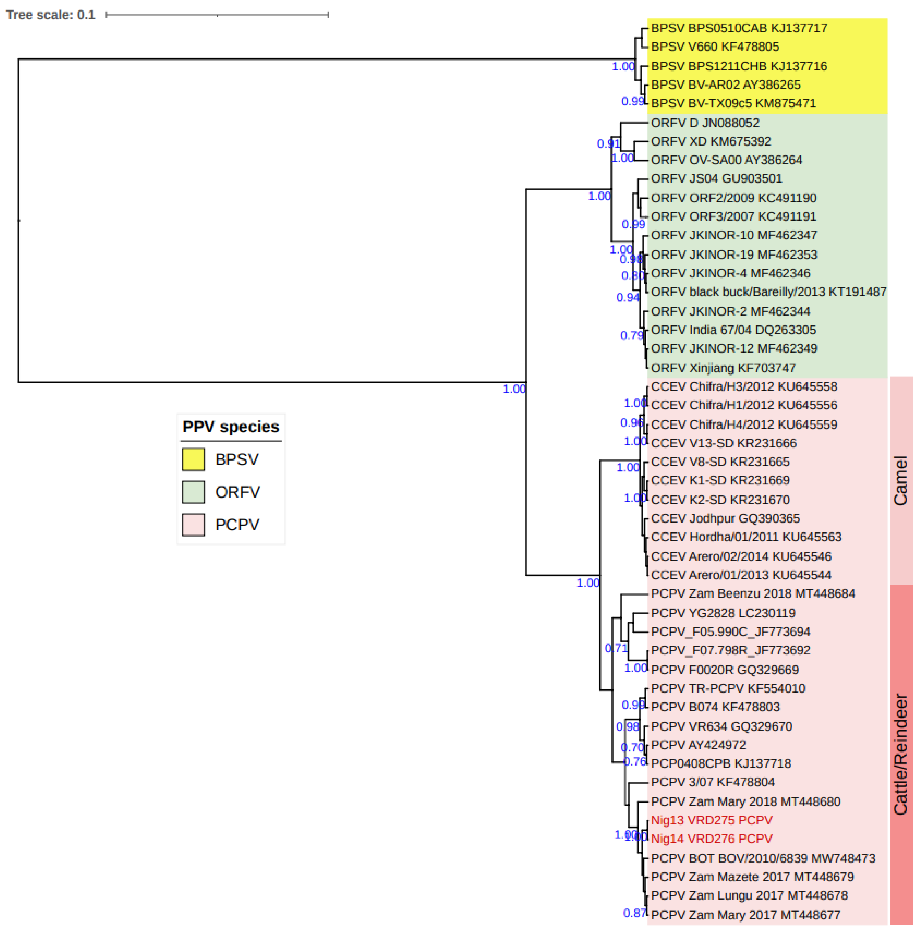 Viruses 15 01051 g006
