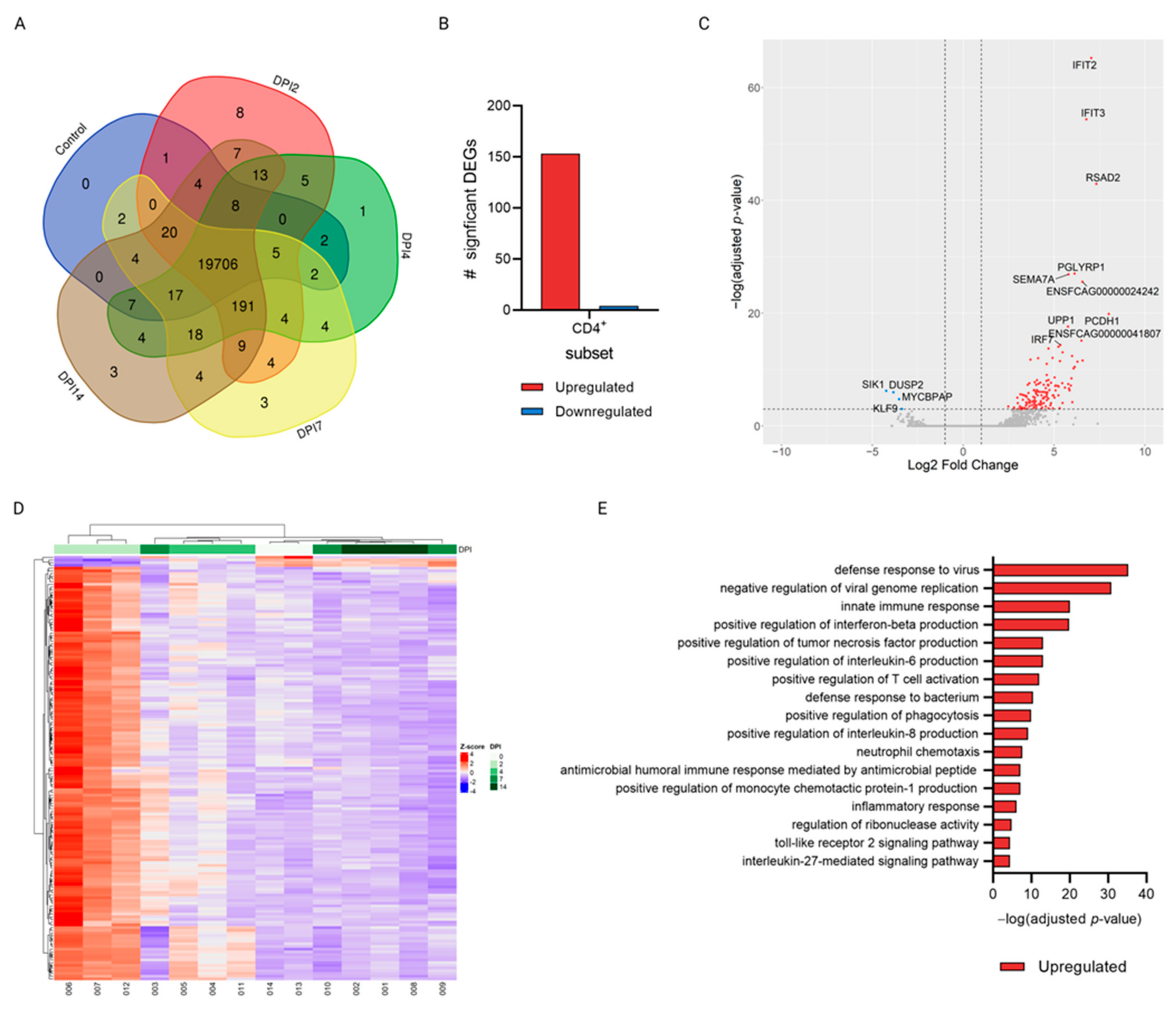 Viruses 15 01052 g004