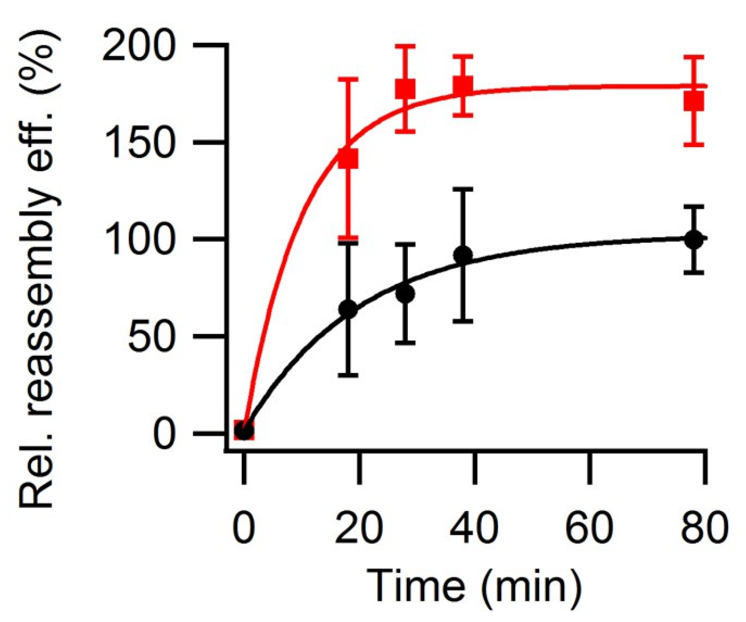 Viruses 15 01054 g005 Viruses 15 01054 g005